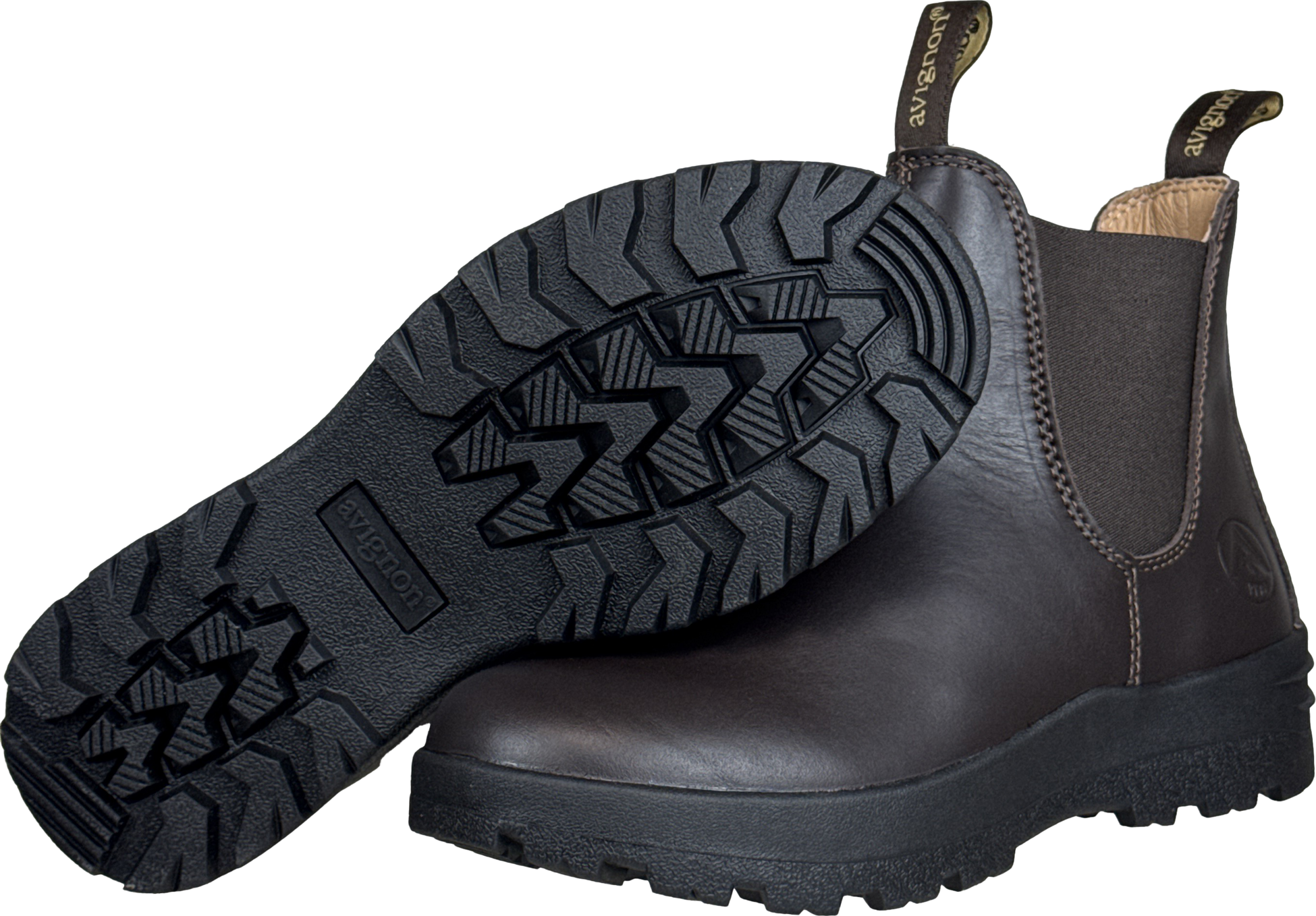 AVIGNON, Darwin Jodhpurs Läder