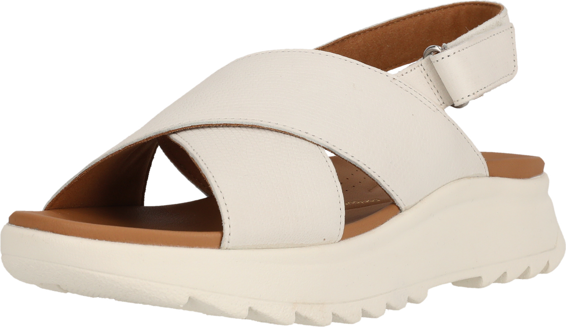 CLARKS, Dashlite
