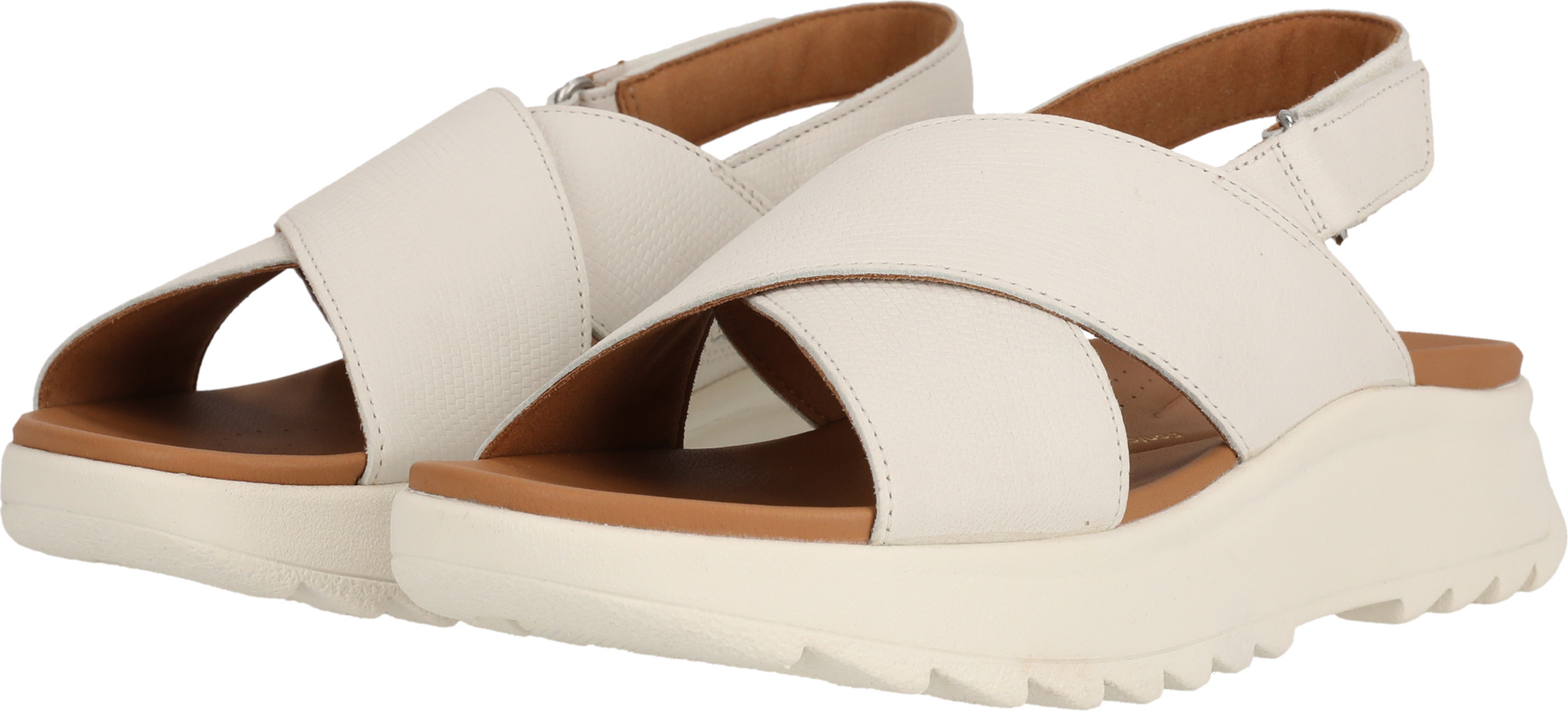 CLARKS, Dashlite