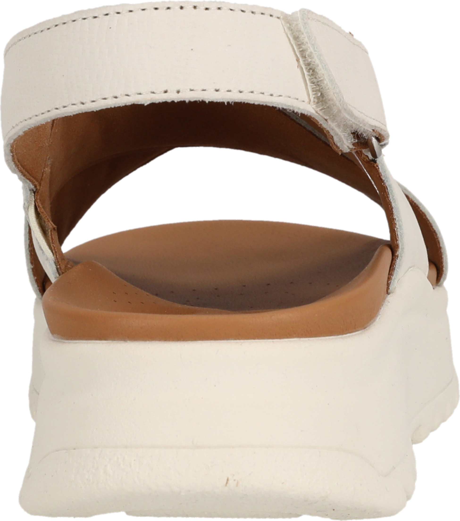CLARKS, Dashlite