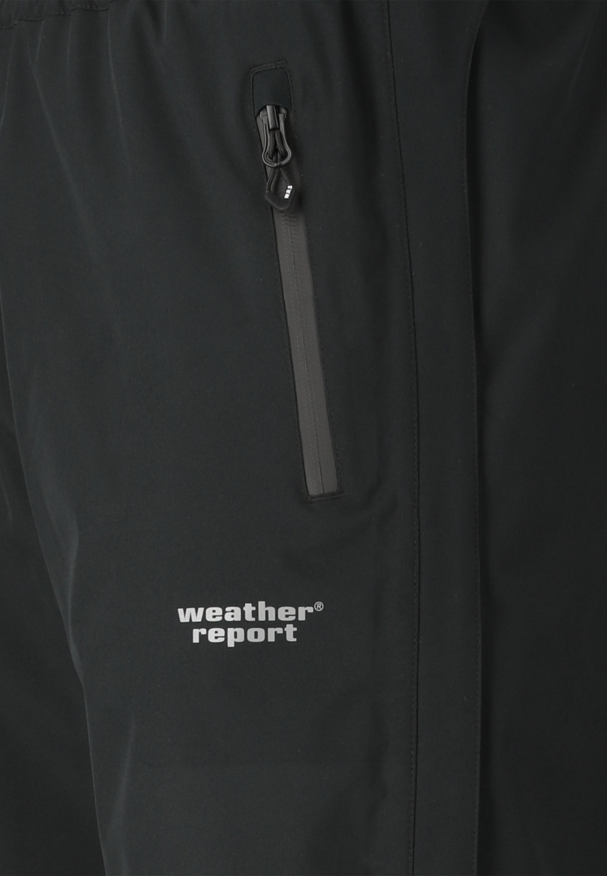 WEATHER REPORT, Delton
