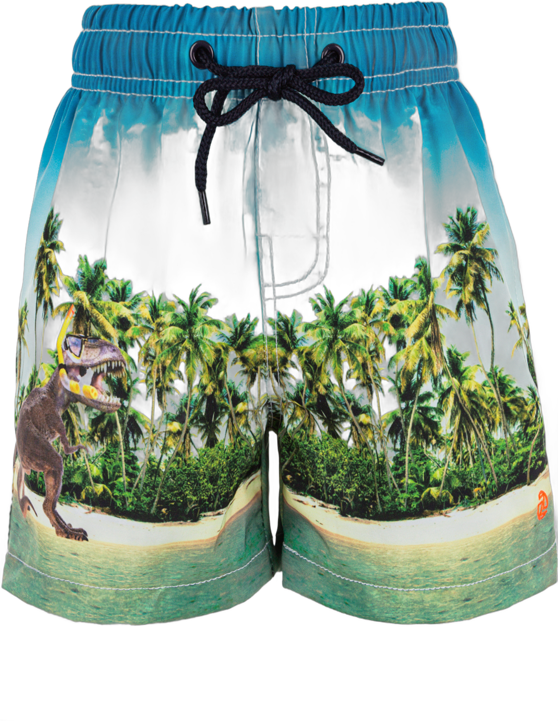 ZIGZAG, Dino Swimming Trunks