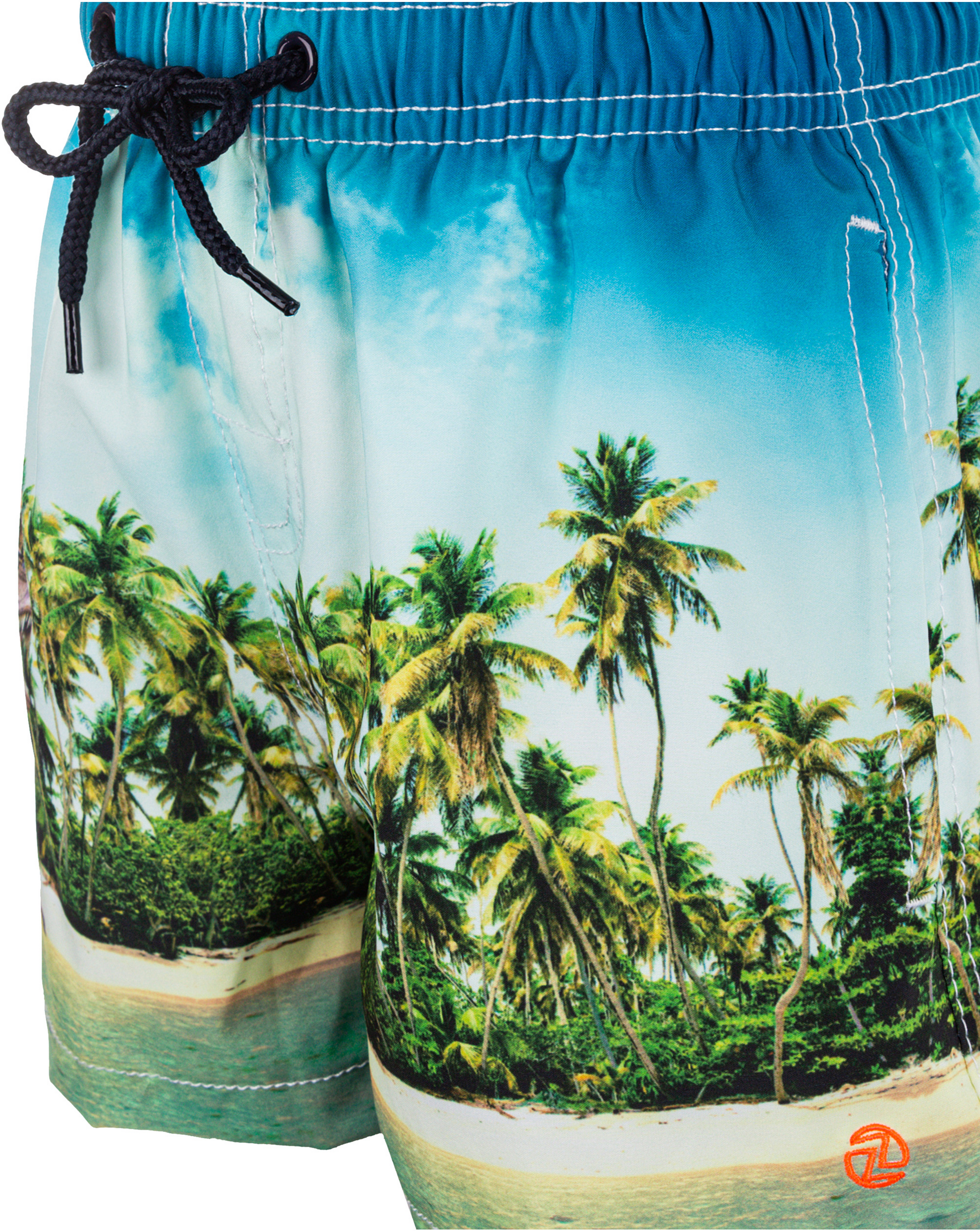 ZIGZAG, Dino Swimming Trunks