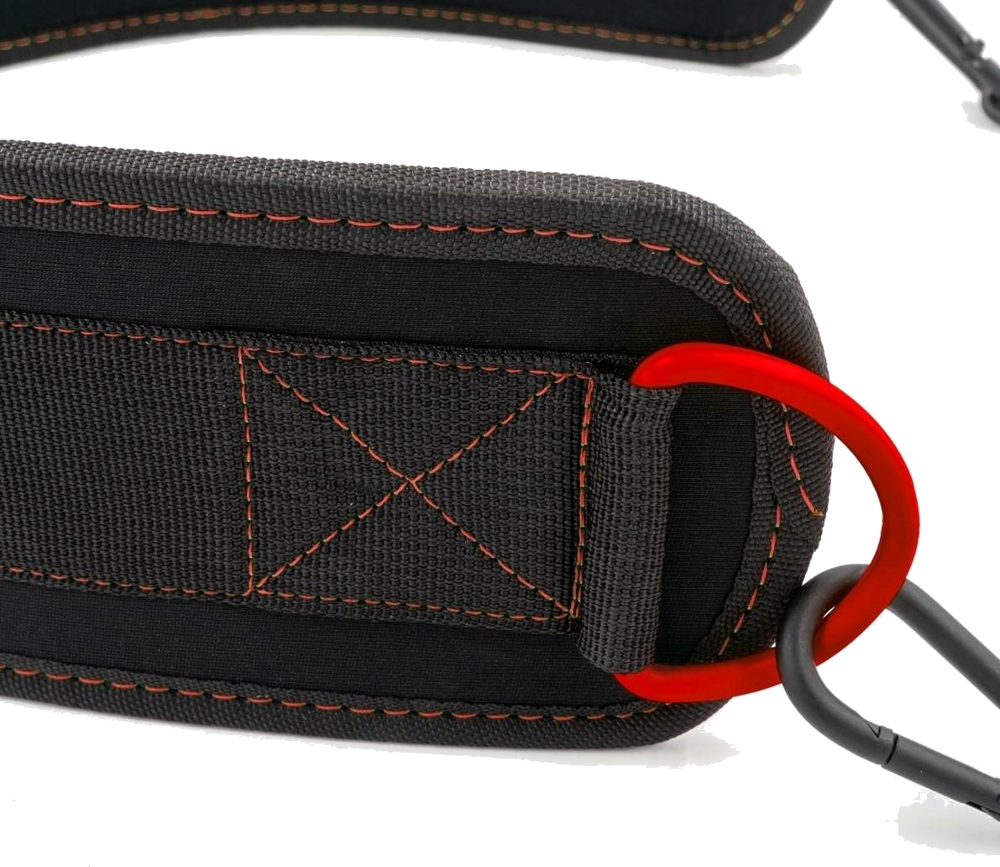 C.P. SPORTS, Dip Belt