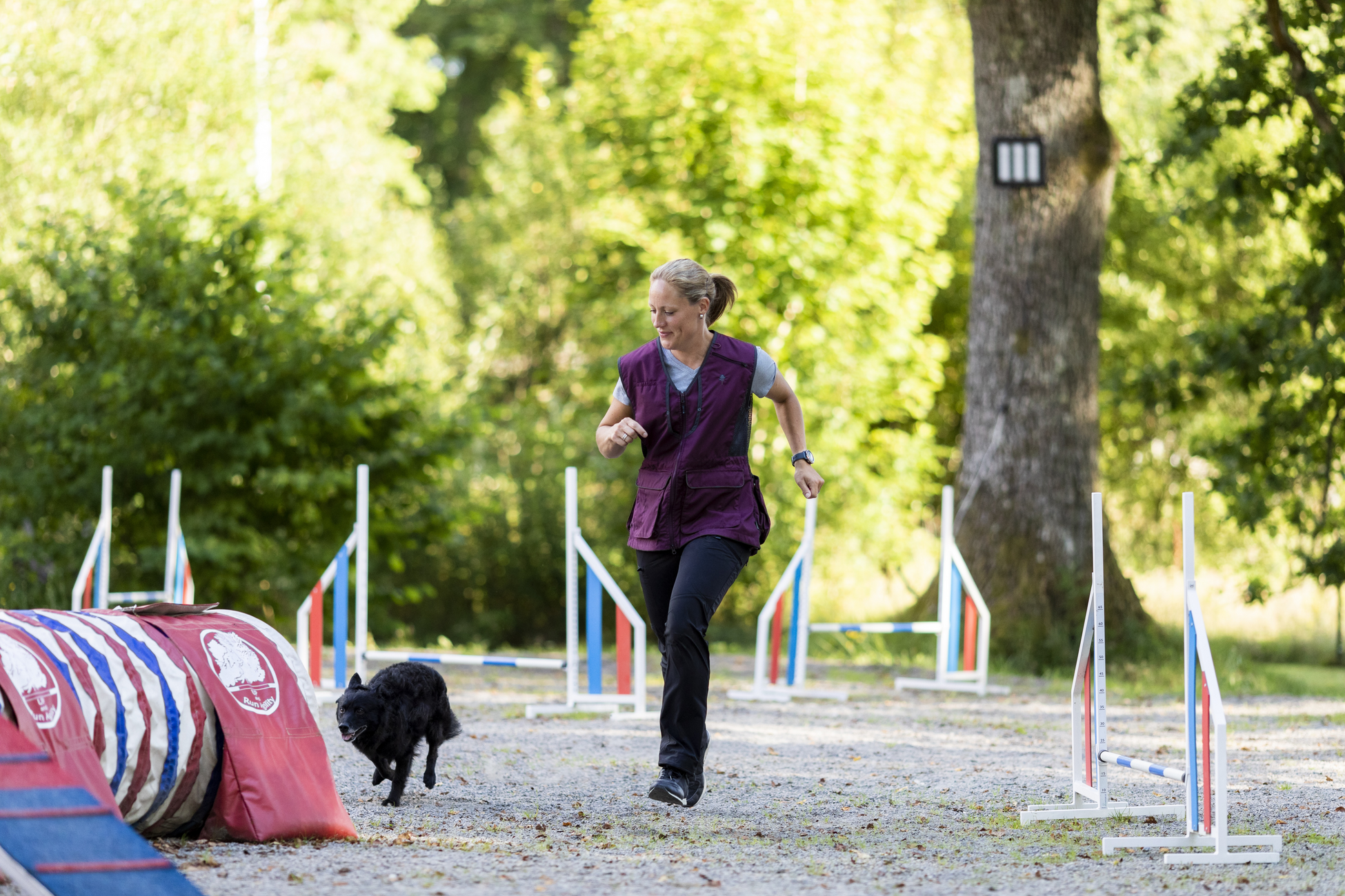 PINEWOOD, Dog Sports 2.0 Vest W