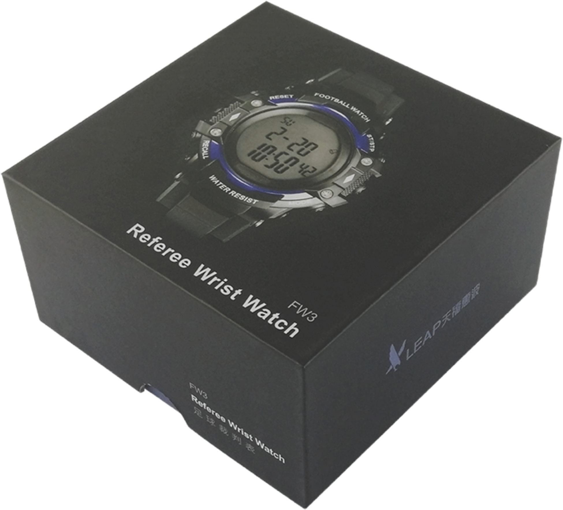 LEAPTIMER, Domarklocka Fw3