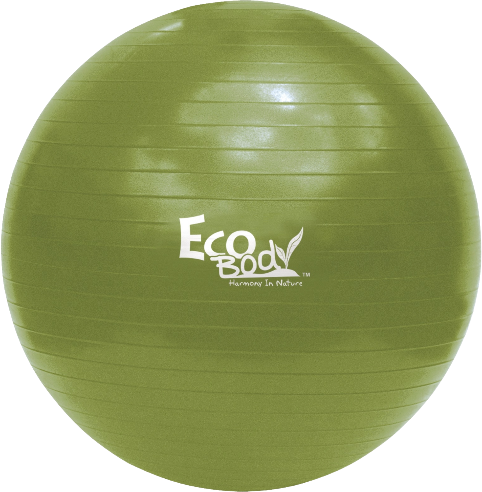 ECO BODY, Eco Body Exercise Ball 65cm
