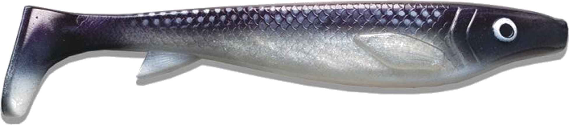 EJ LURES, Ej Lures Fatnose Shad Coregonus 23cm, 60gr