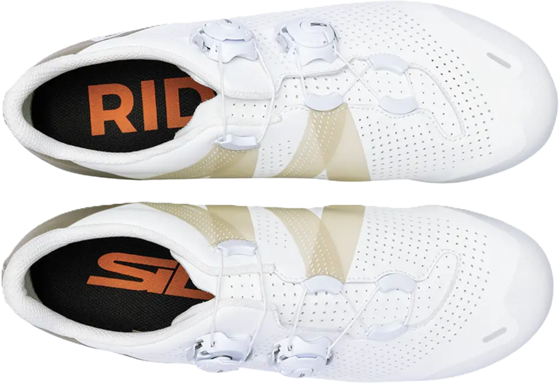 SIDI, Ergo 6