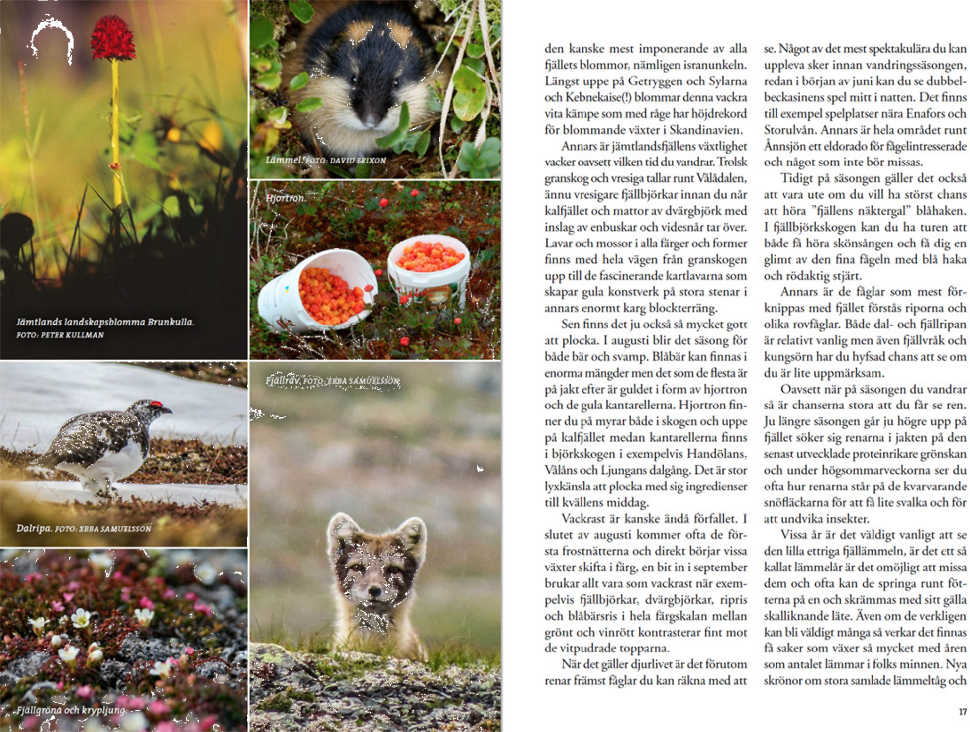 CALAZO, Fj&auml;llvandra I J&auml;mtland