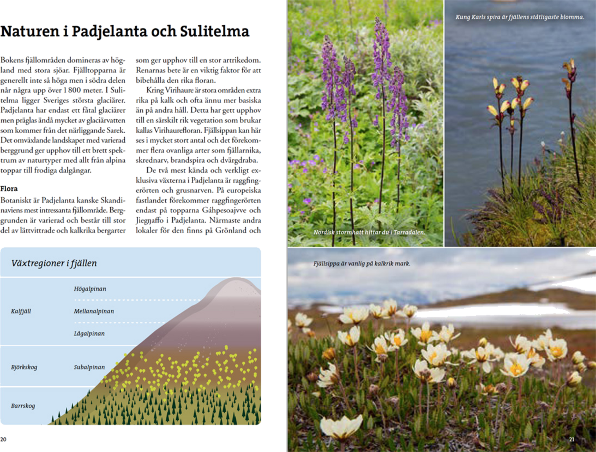 CALAZO, Fj&auml;llvandra I Padjelanta Och Sulitelma