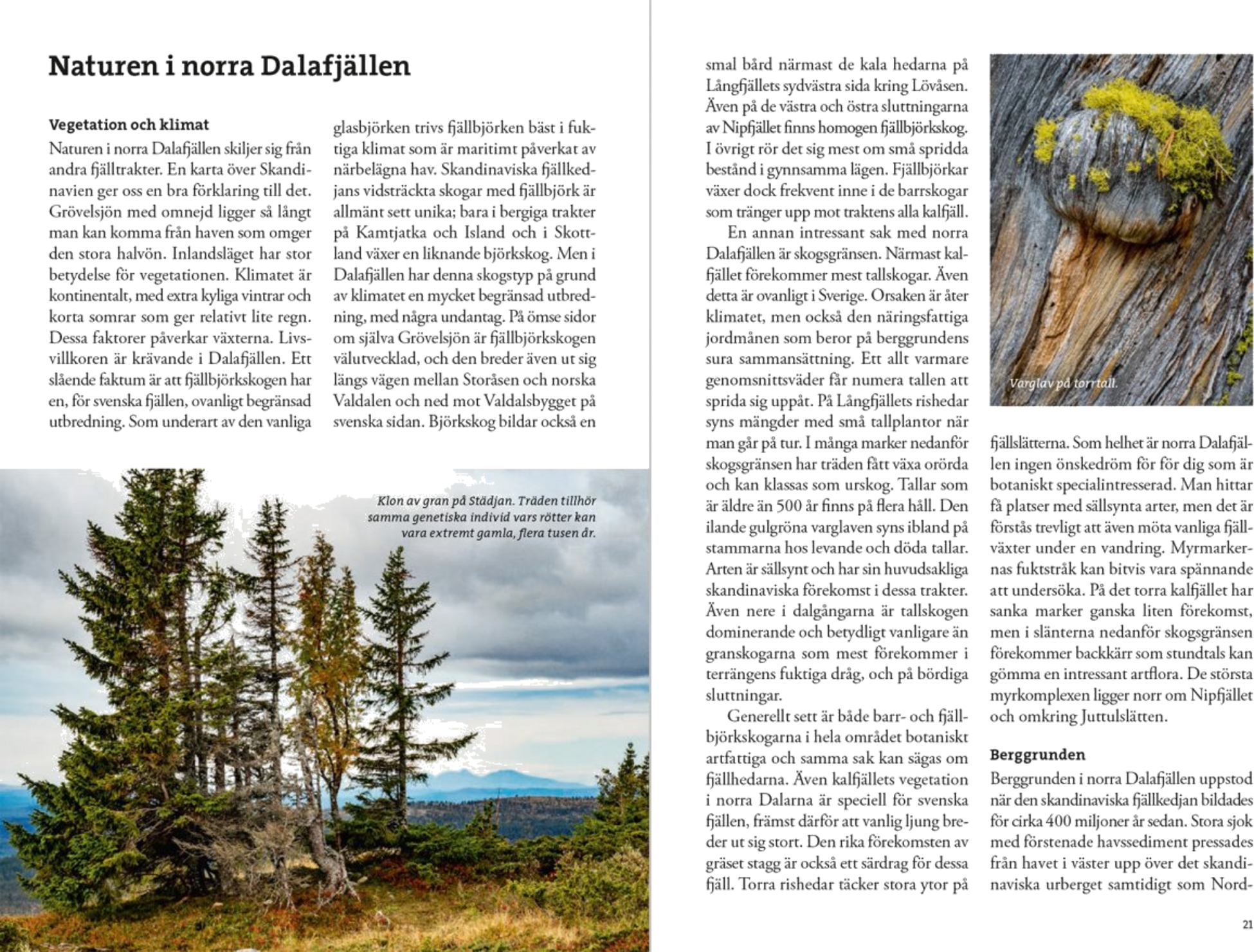 CALAZO, Fjällvandra Kring Grövelsjön