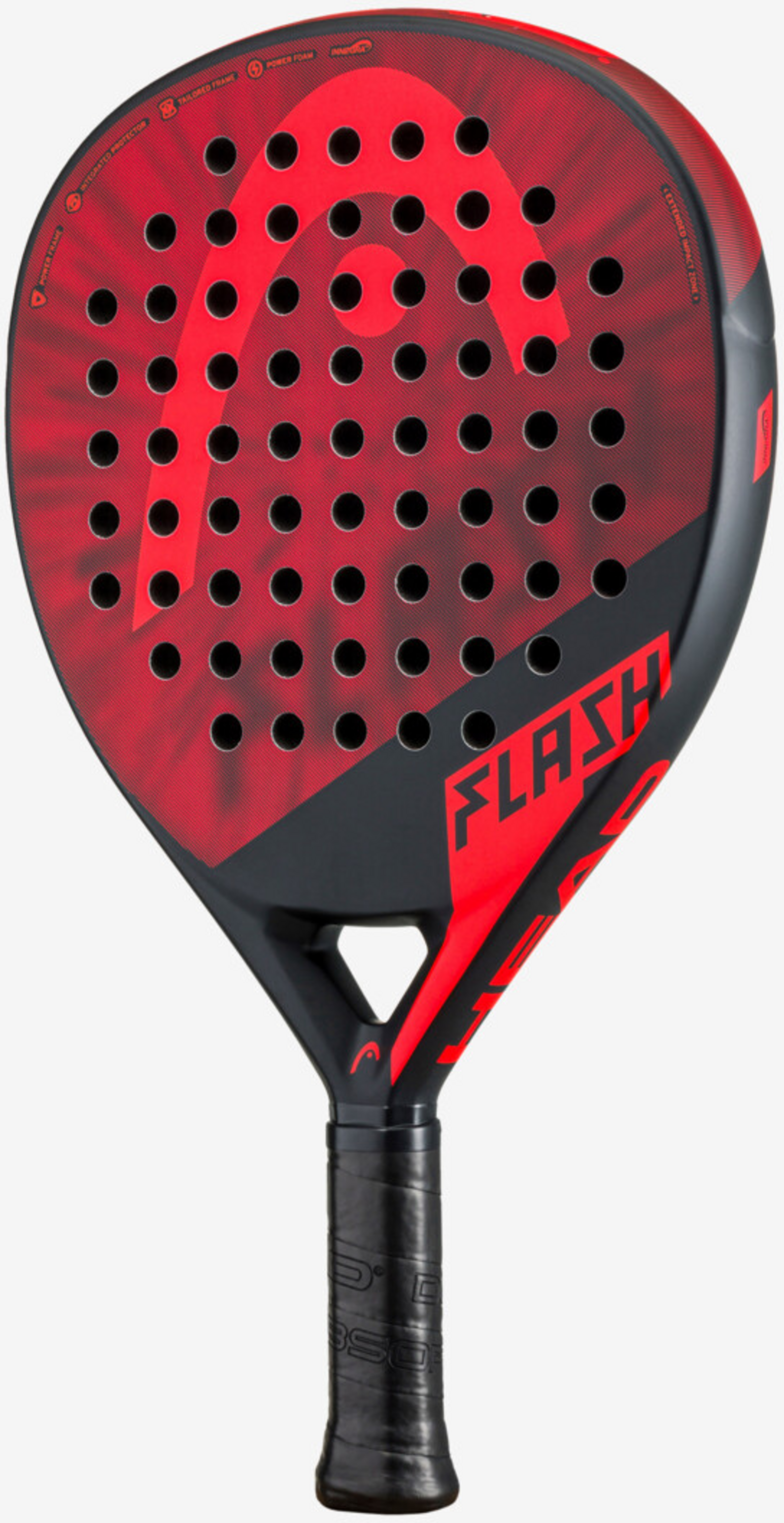 HEAD, Flash 2023_re_bk