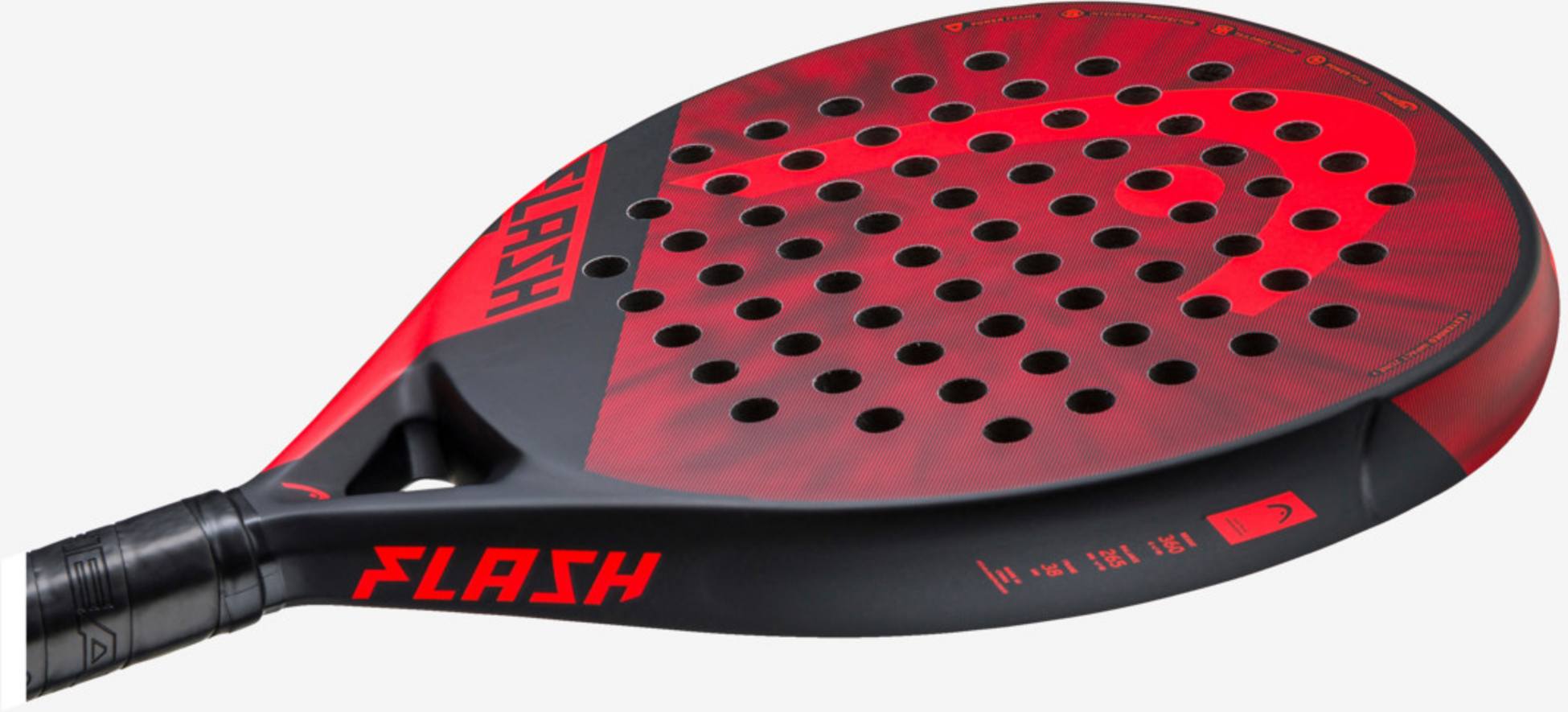 HEAD, Flash 2023_re_bk