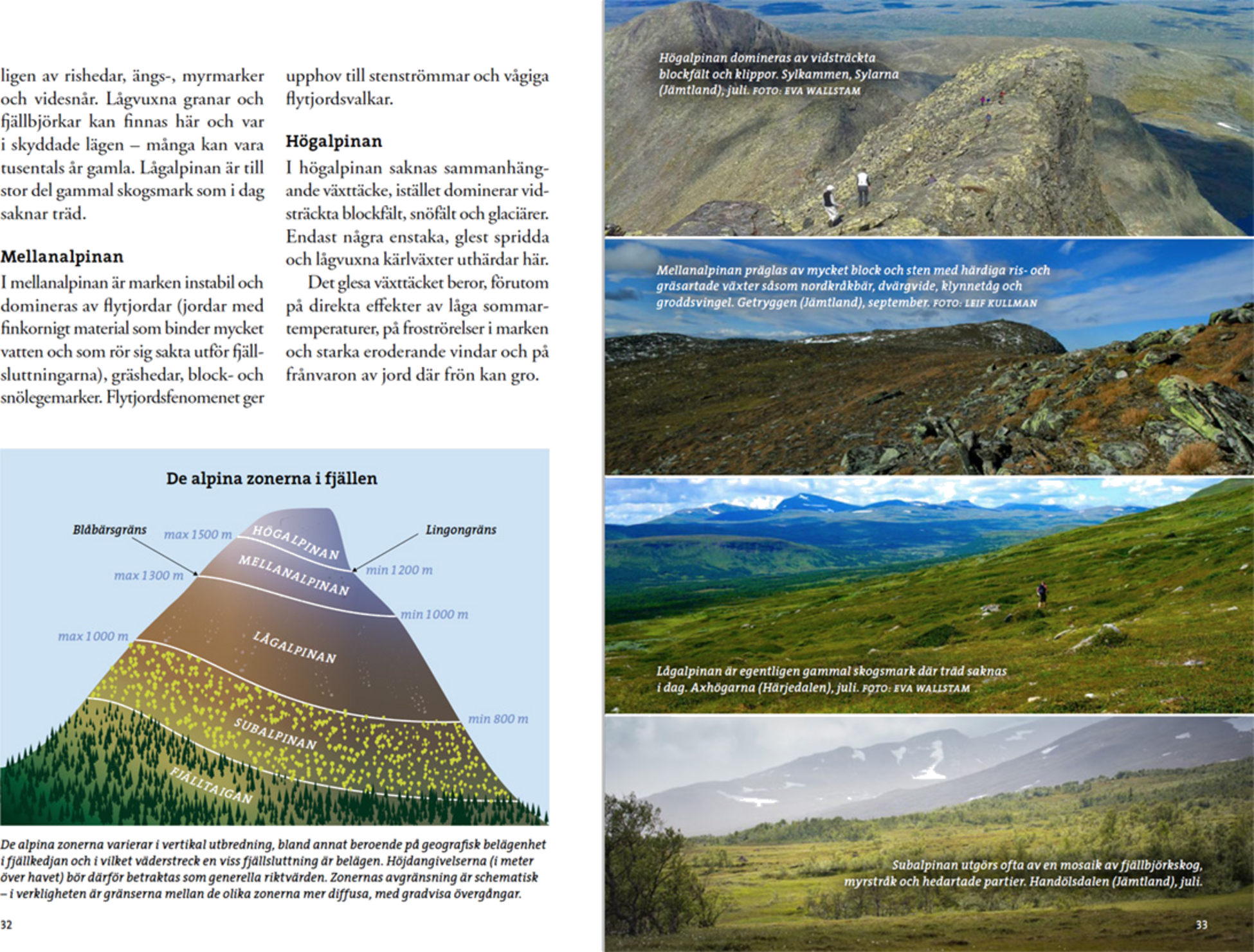 CALAZO, Flora F&ouml;r Fj&auml;llvandrare