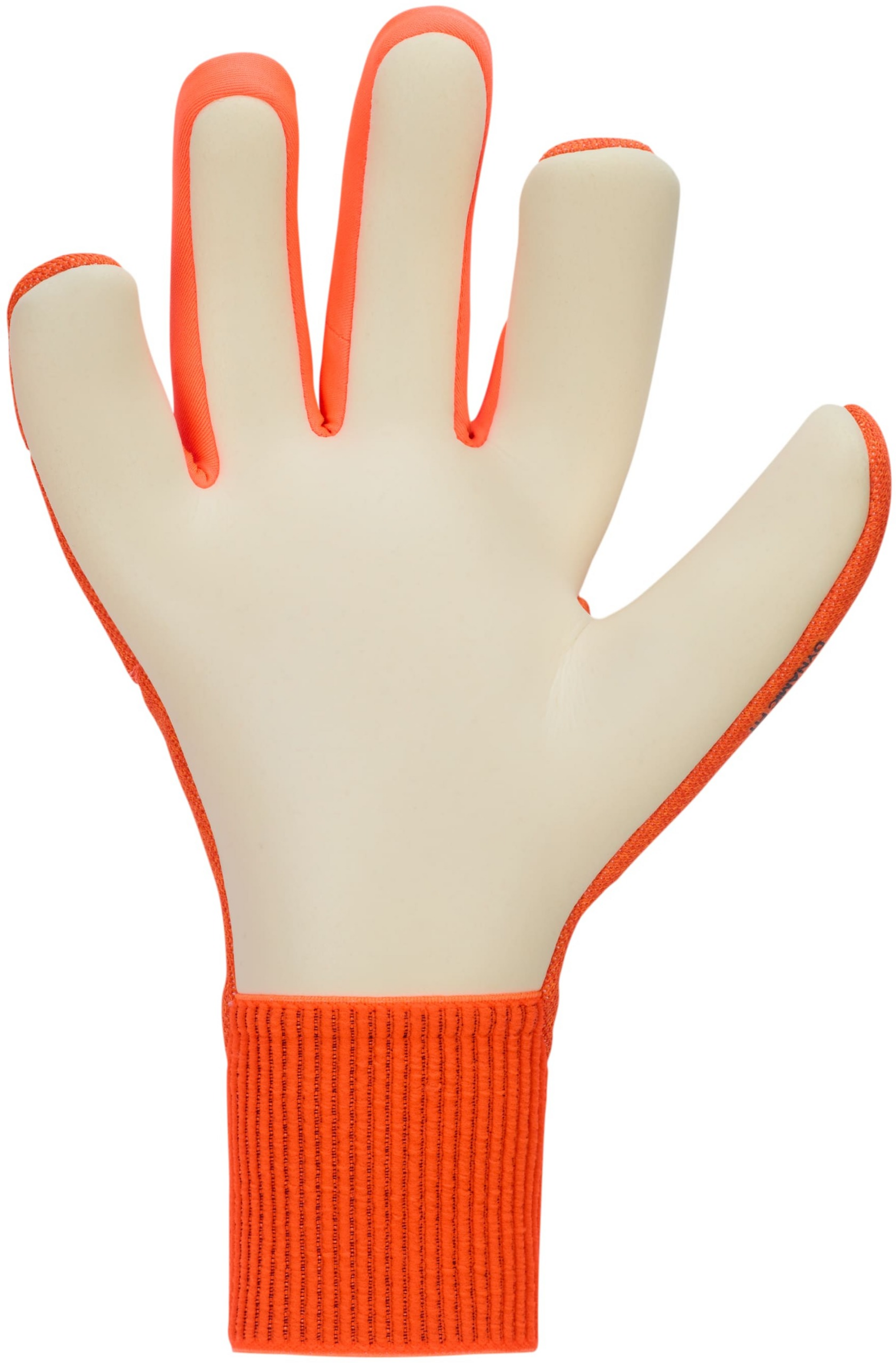 NIKE, Football Goalkeeper Gloves Dynamic Fit