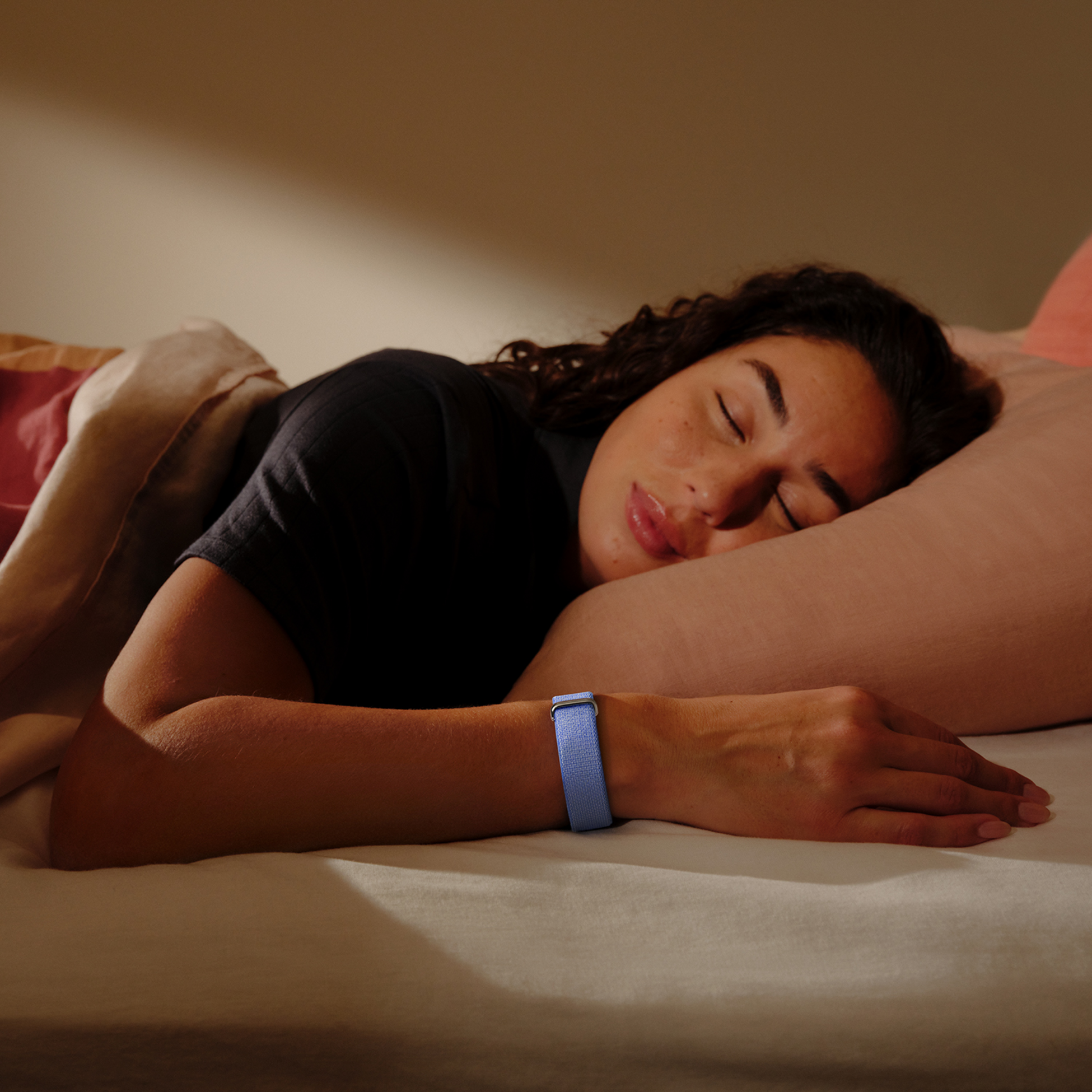 GOOGLE FITBIT, Google Fitbit Air, EU