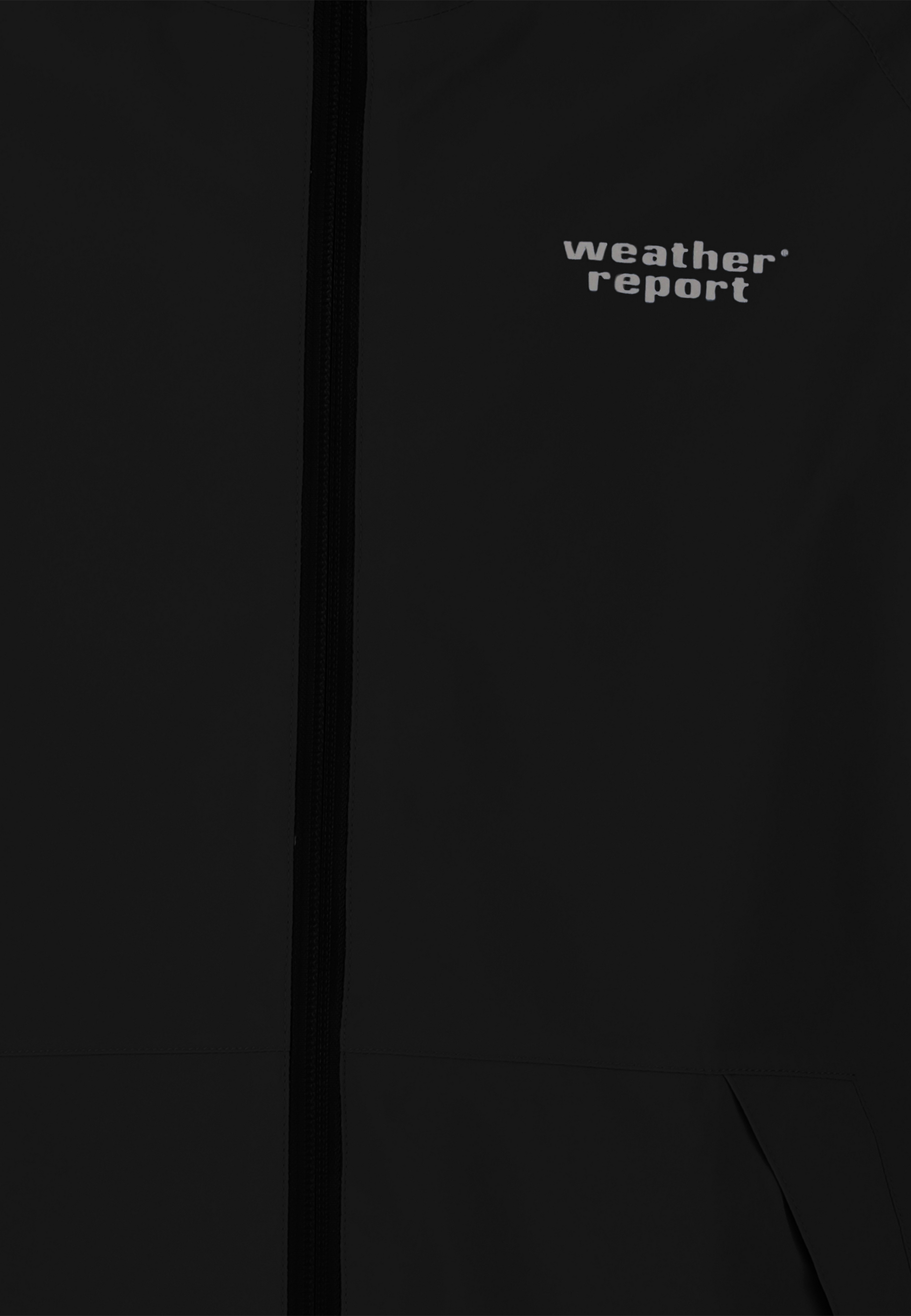 WEATHER REPORT, Gust Jr.