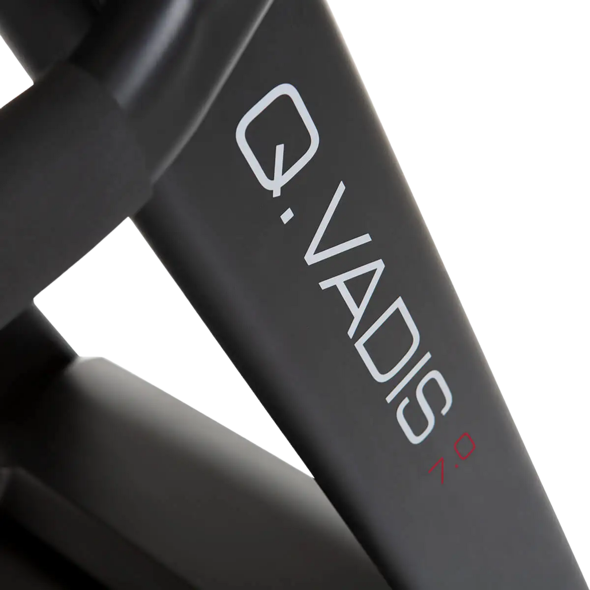 HAMMER, Hammer Q. Vadis 7.0