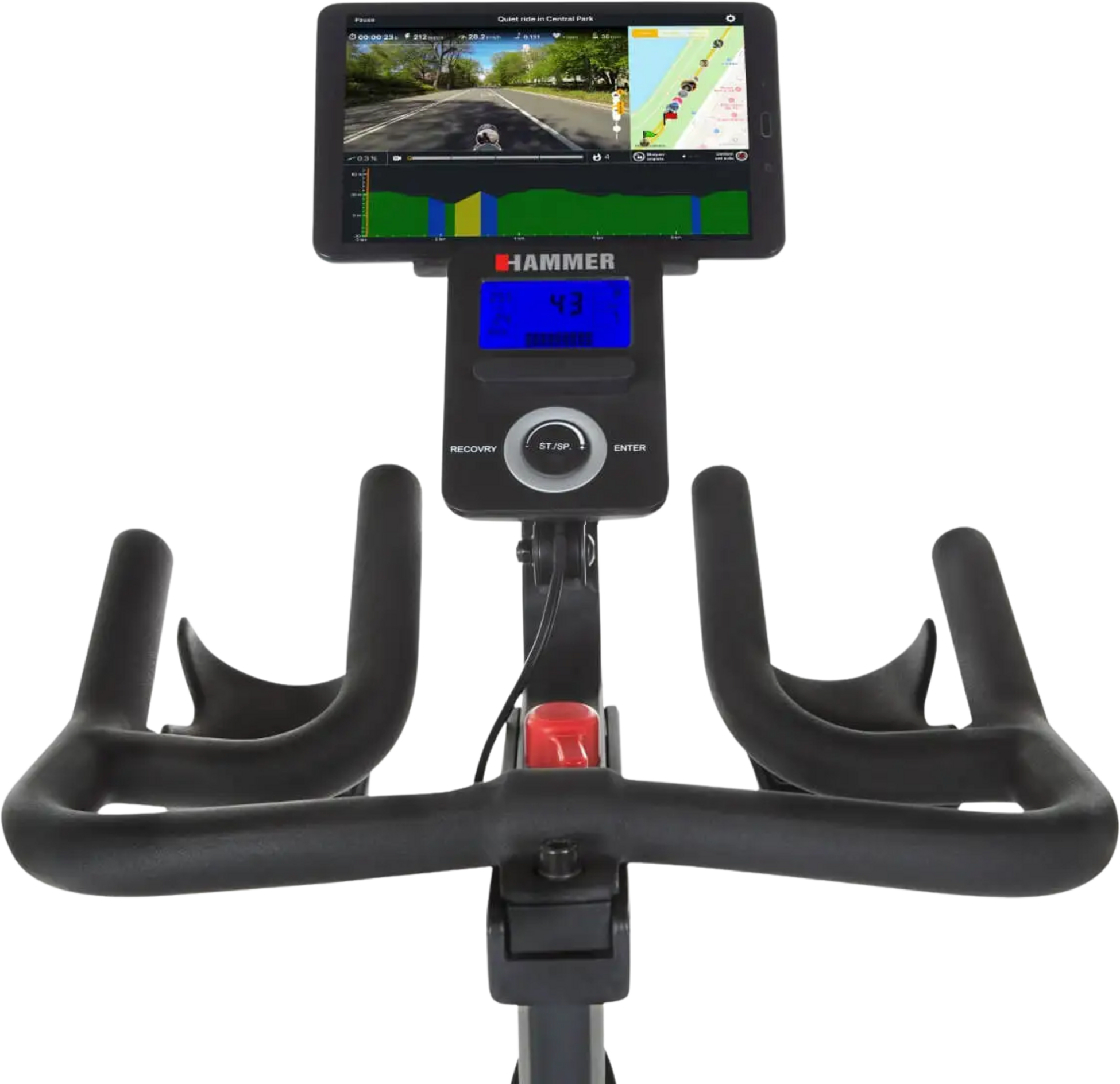 HAMMER, Hammer Speed Race S