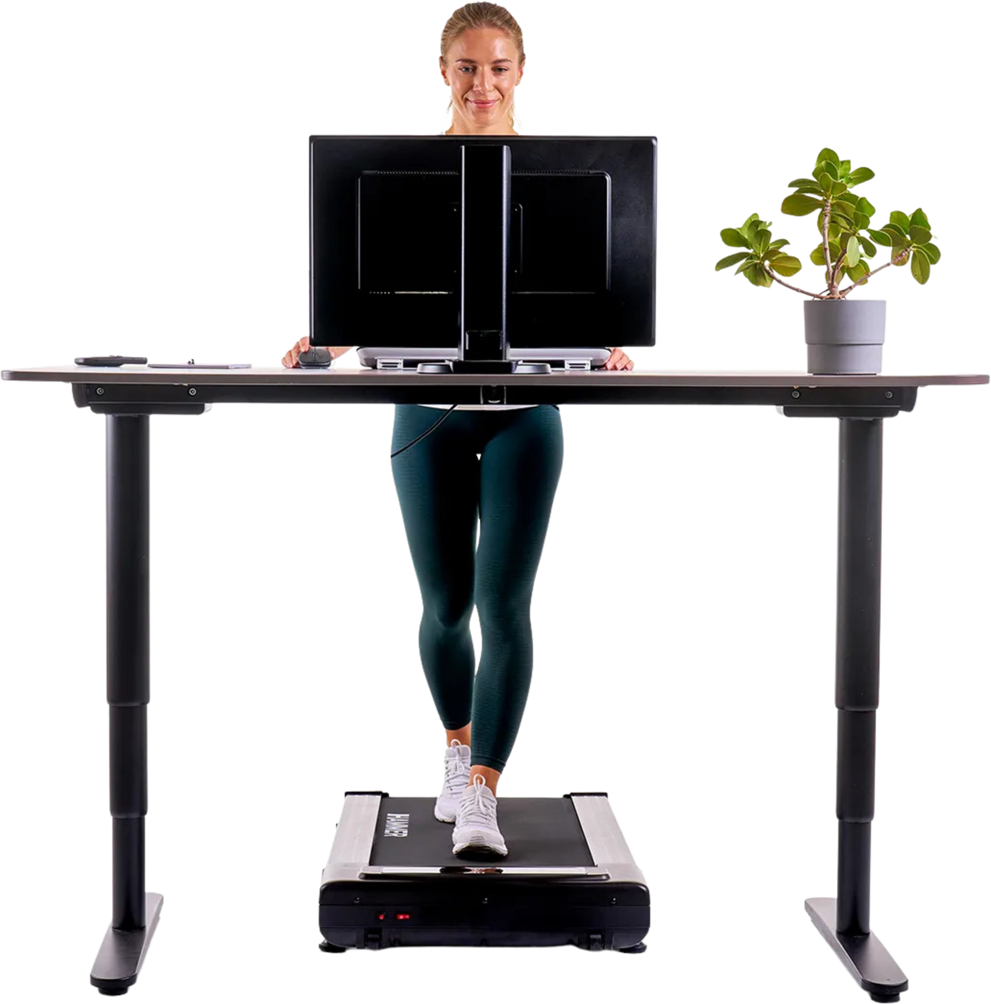 HAMMER, Hammer Walk 2.0