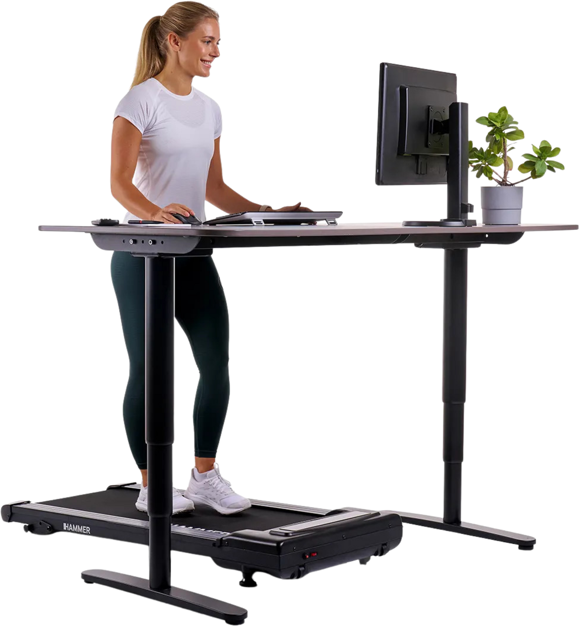 HAMMER, Hammer Walk 2.0