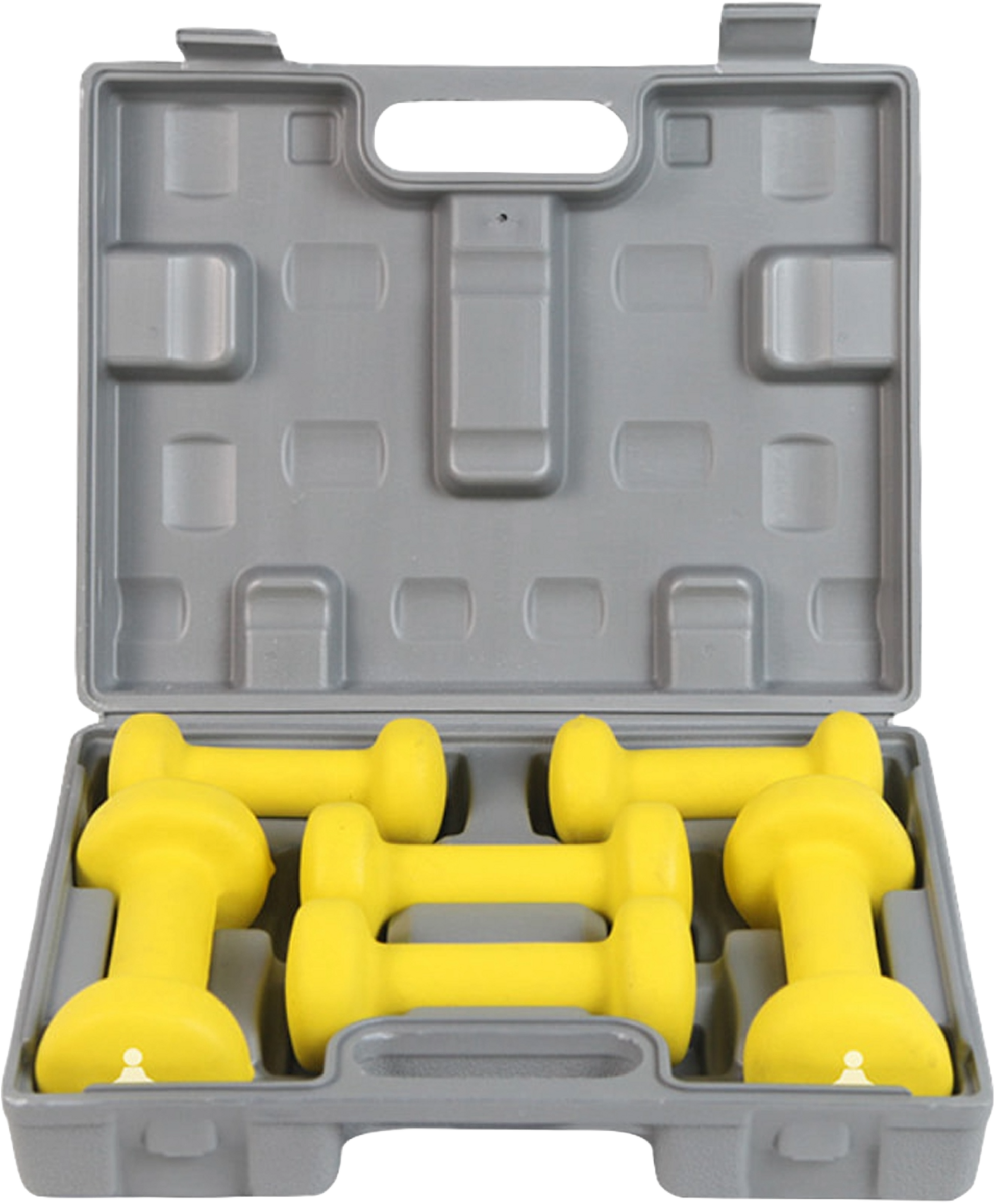 FITPADDY, Hantelset Vinyl 6 St