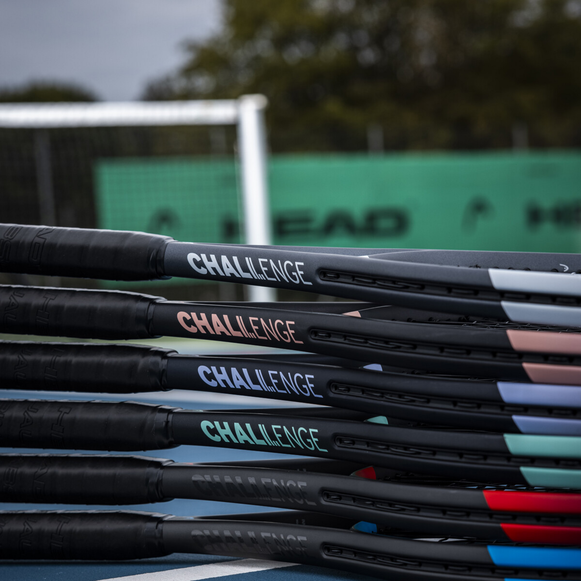 HEAD, Head Ig Challenge Team (purple)