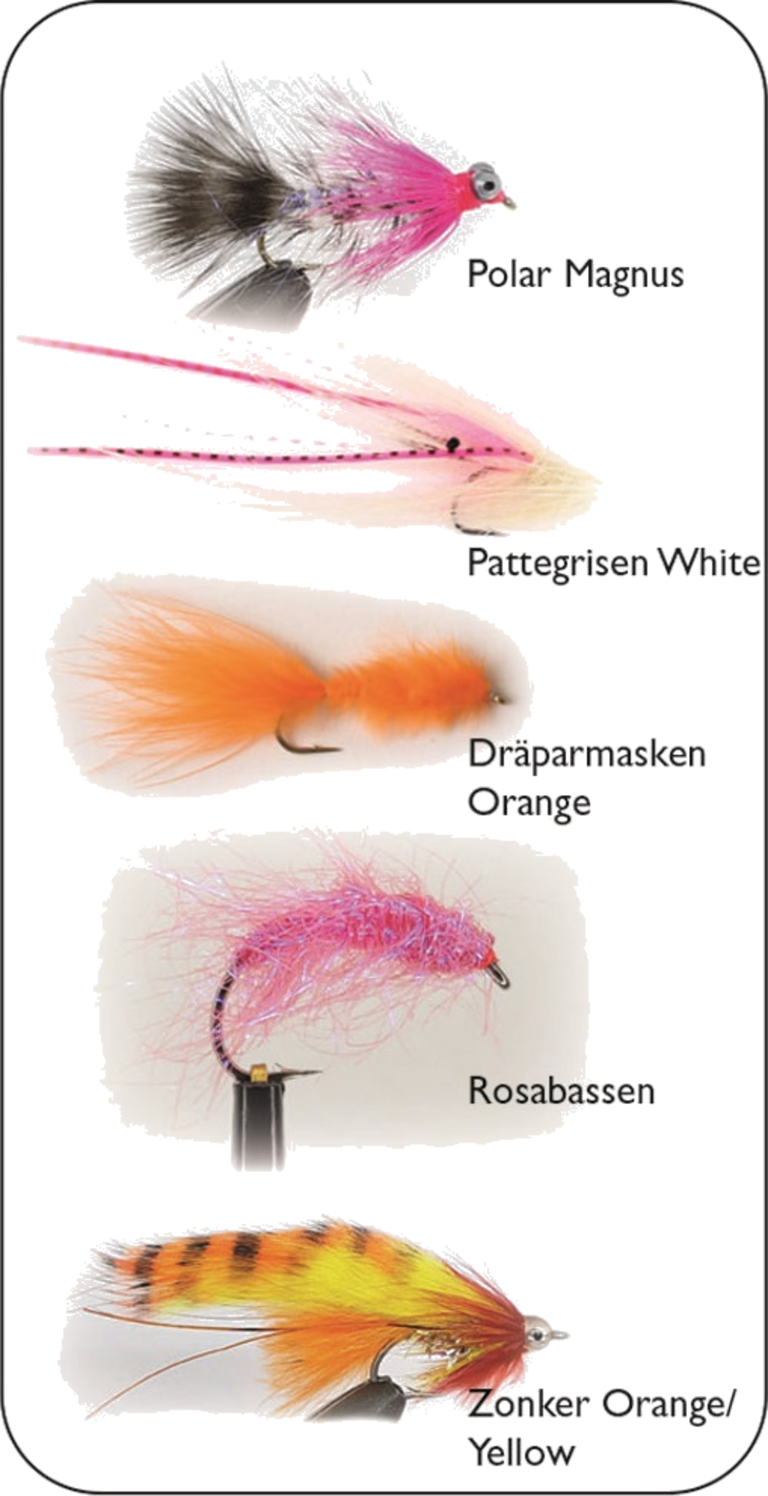 HURRICANE, Hurricane Flies Sea Trout Winter  Spring 5-pack