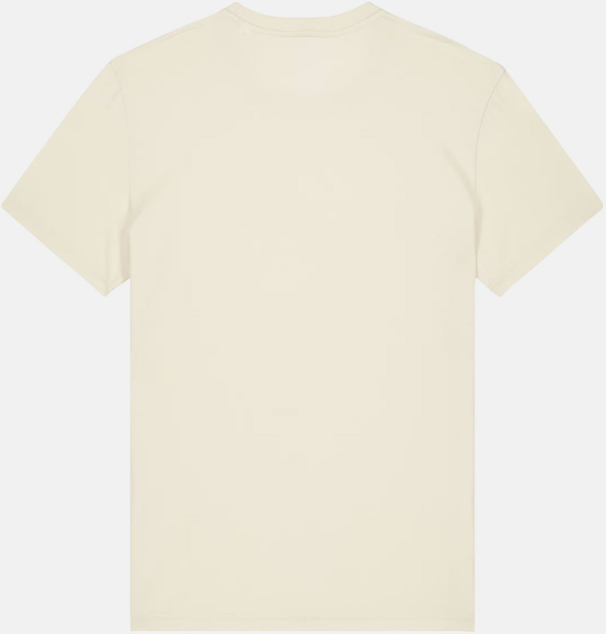 HANG TEN, Icon Logo T-shirt - Natural Raw