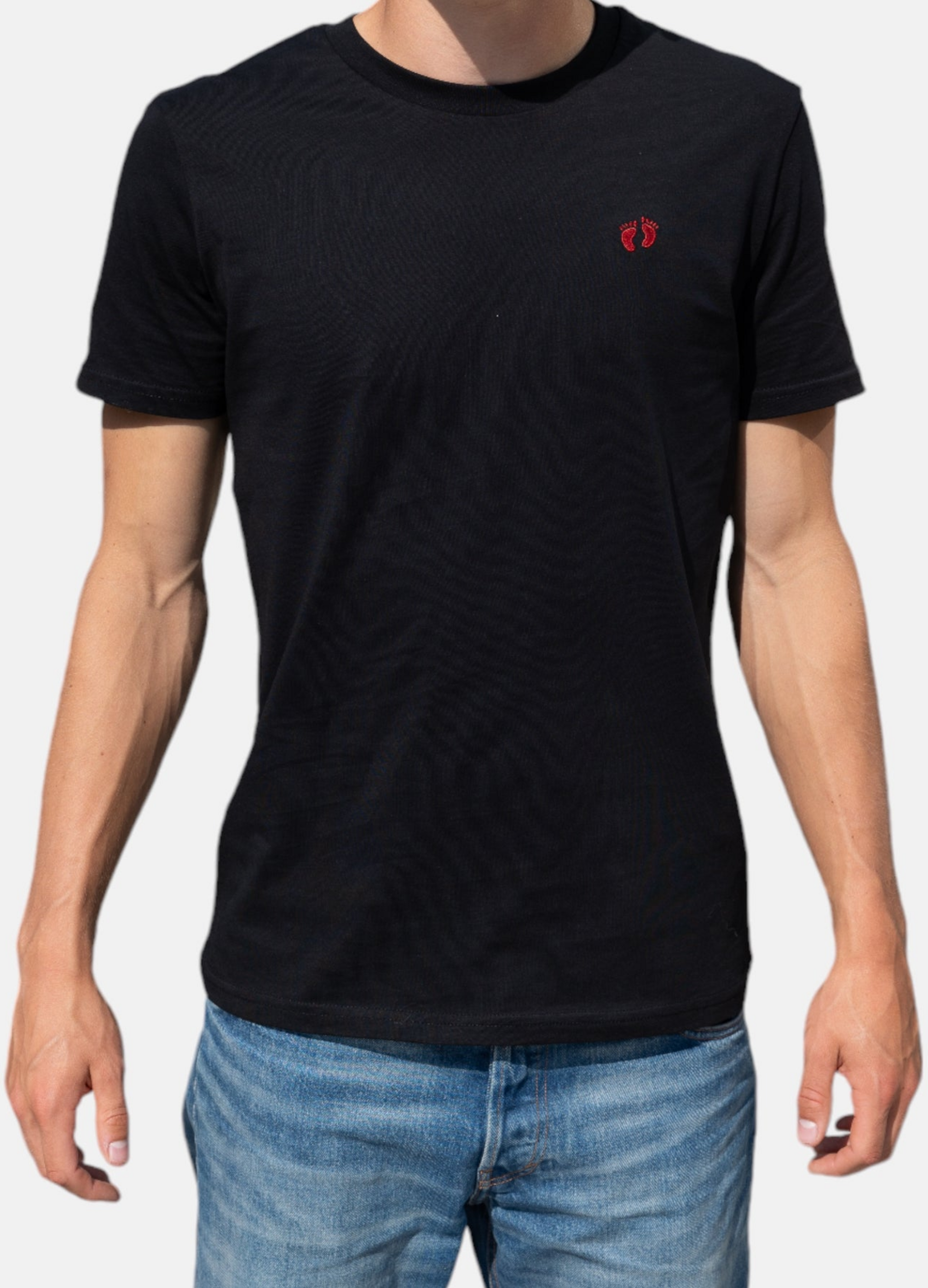 HANG TEN, Icon Logo T-shirt In 100% Organic Cotton