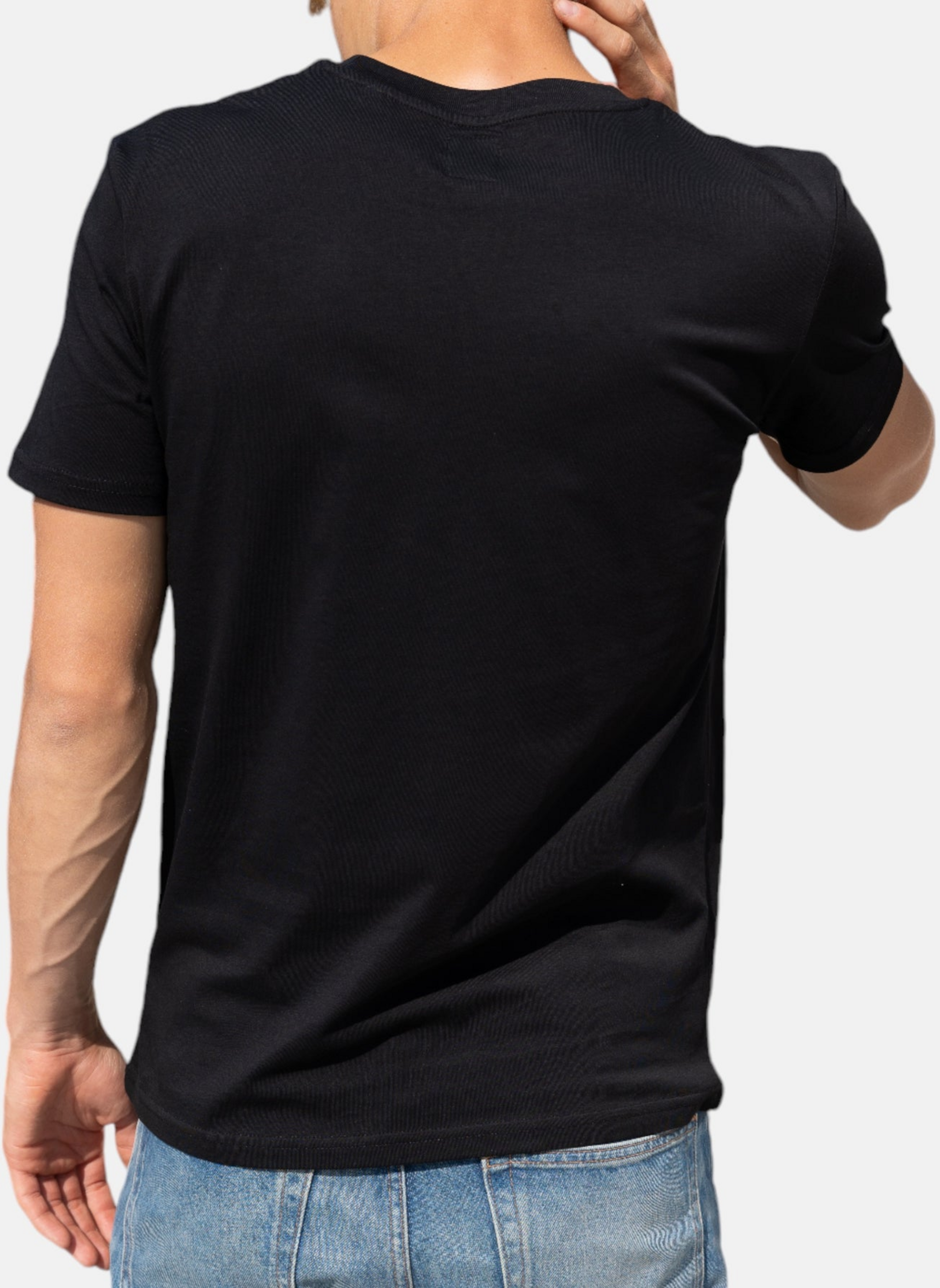 HANG TEN, Icon Logo T-shirt In 100% Organic Cotton