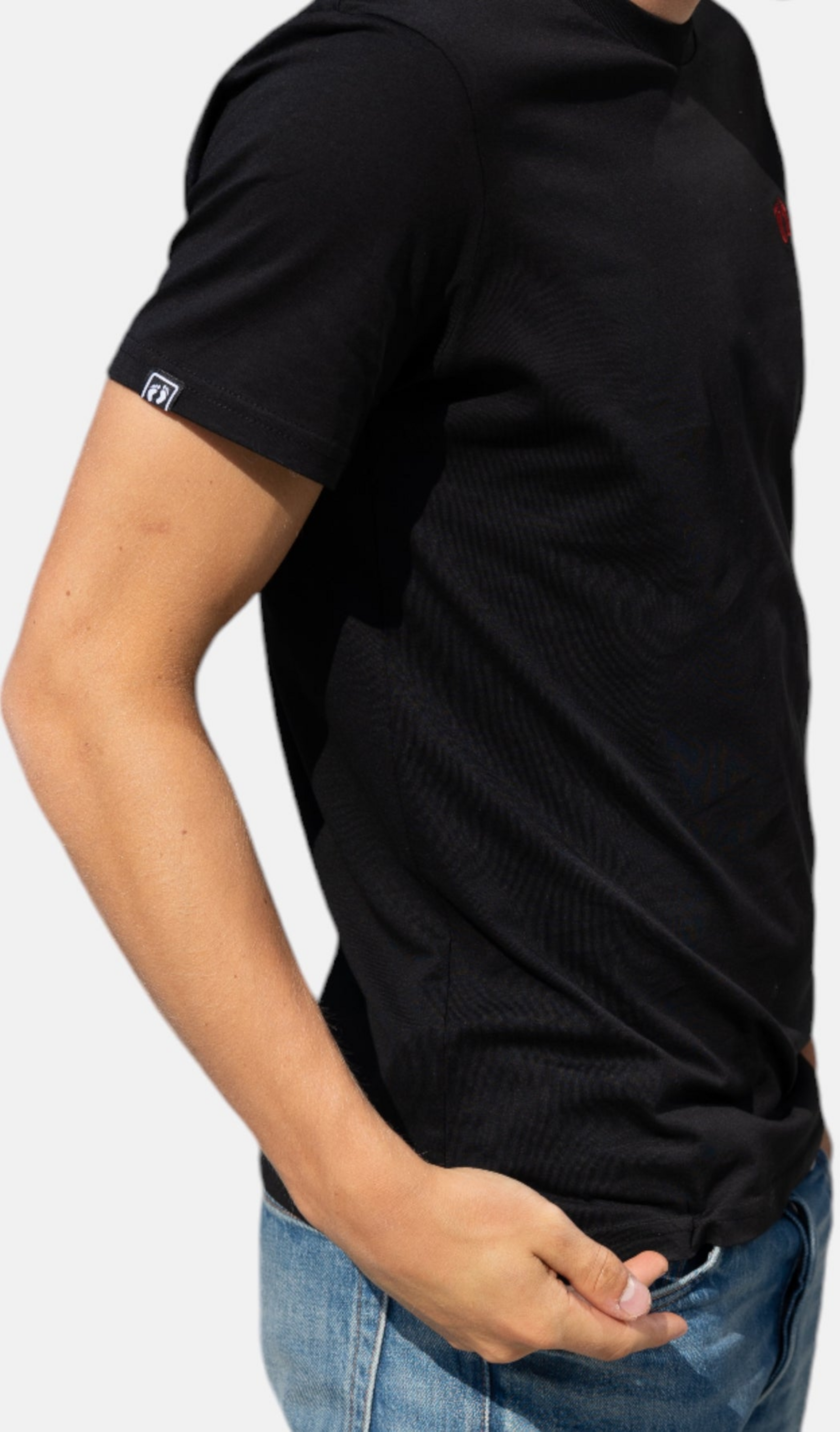 HANG TEN, Icon Logo T-shirt In 100% Organic Cotton