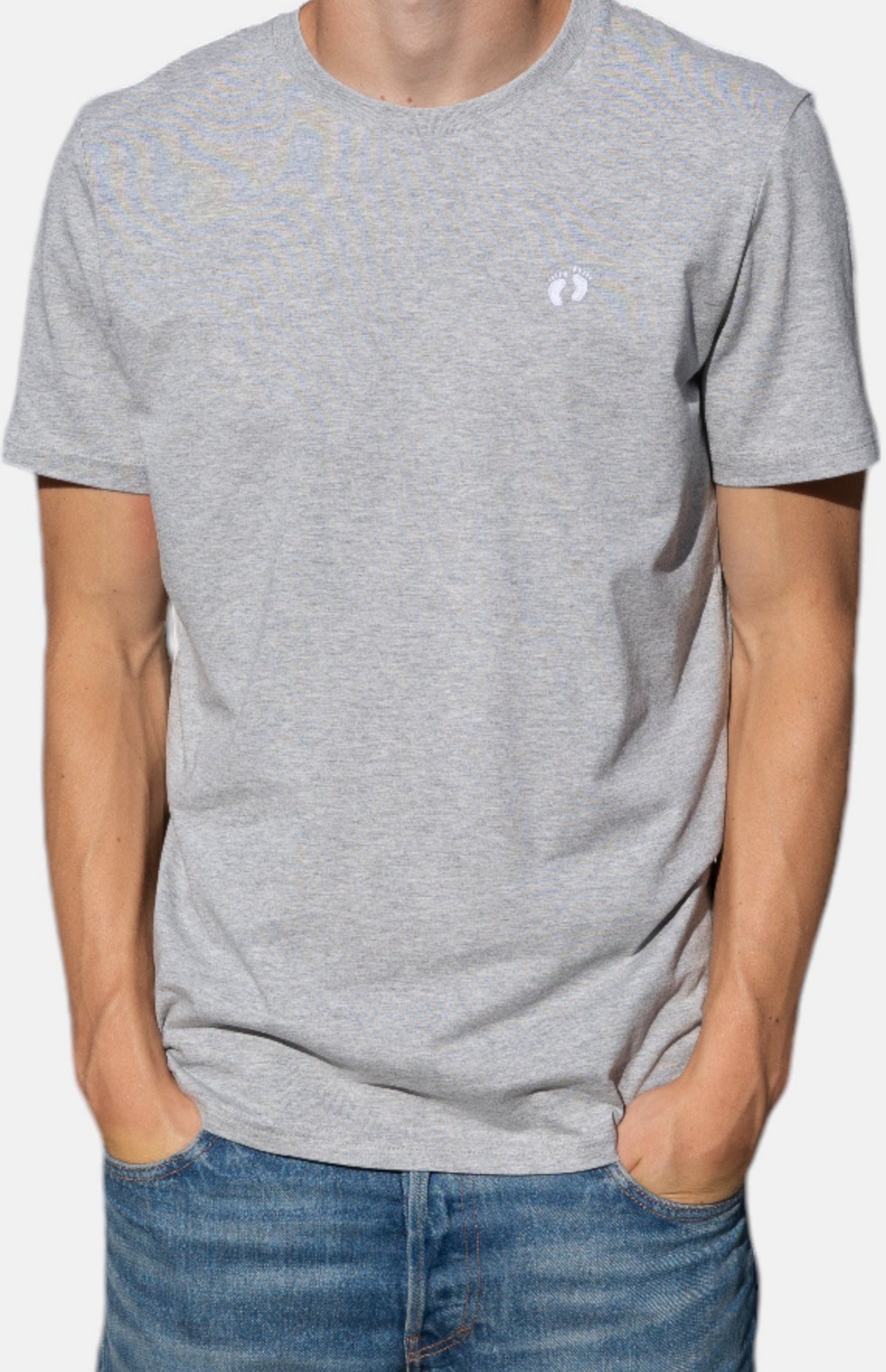 HANG TEN, Icon Logo T-shirt In 100% Organic Cotton