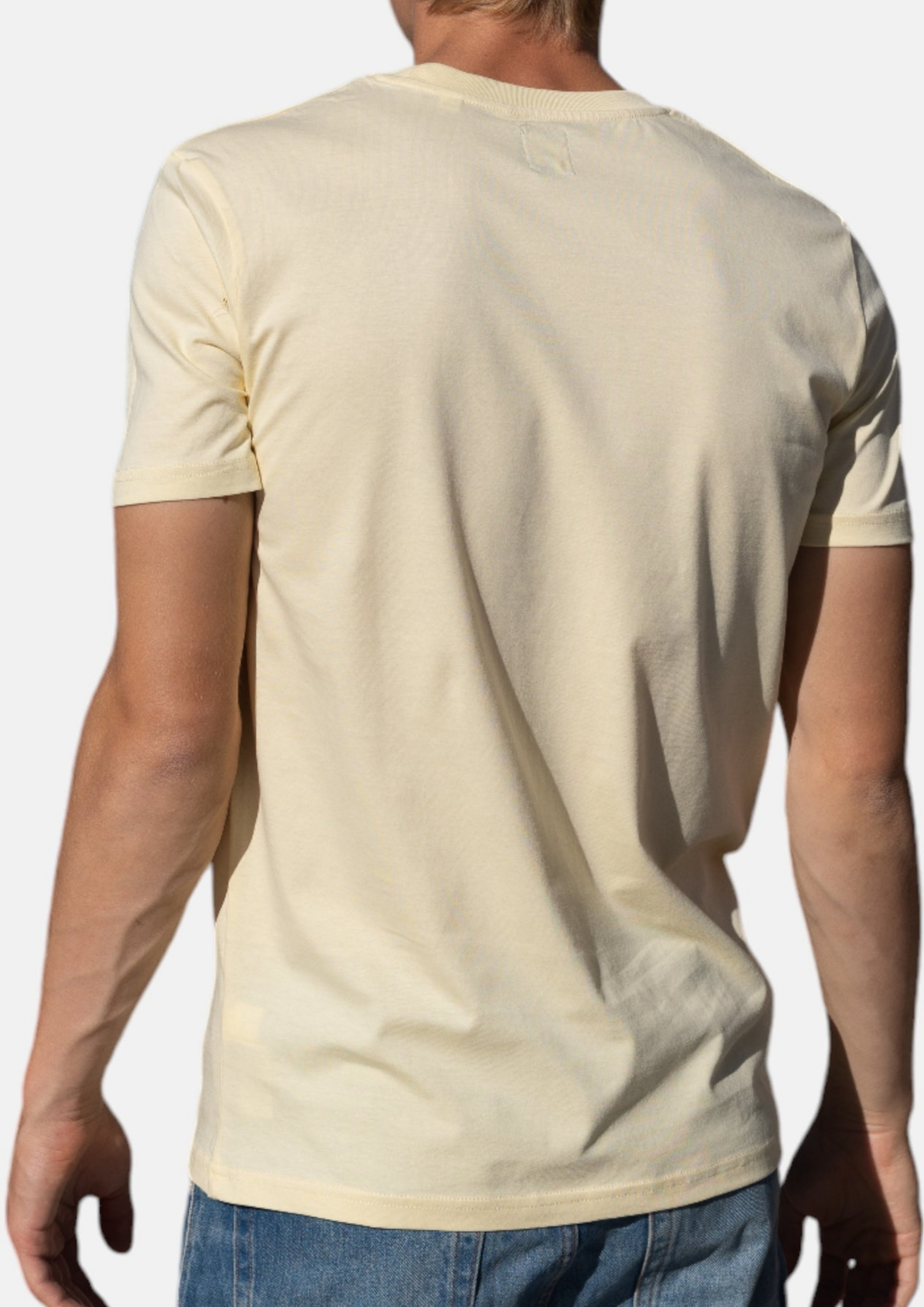 HANG TEN, Icon Logo T-shirt In 100% Organic Cotton