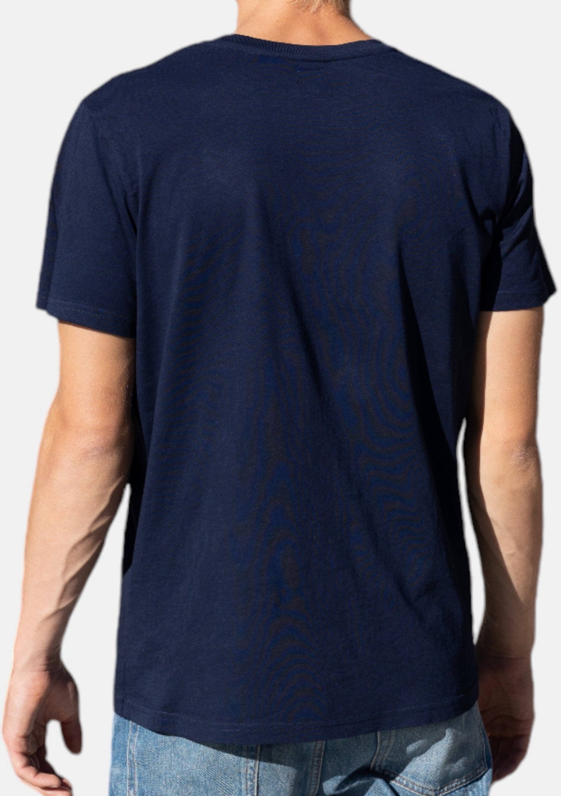 HANG TEN, Icon Logo T-shirt In 100% Organic Cotton