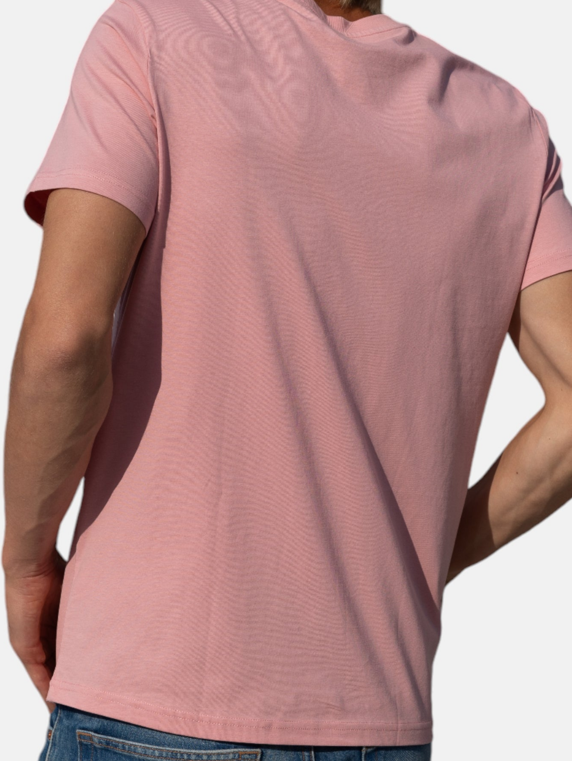 HANG TEN, Icon Logo T-shirt In 100% Organic Cotton