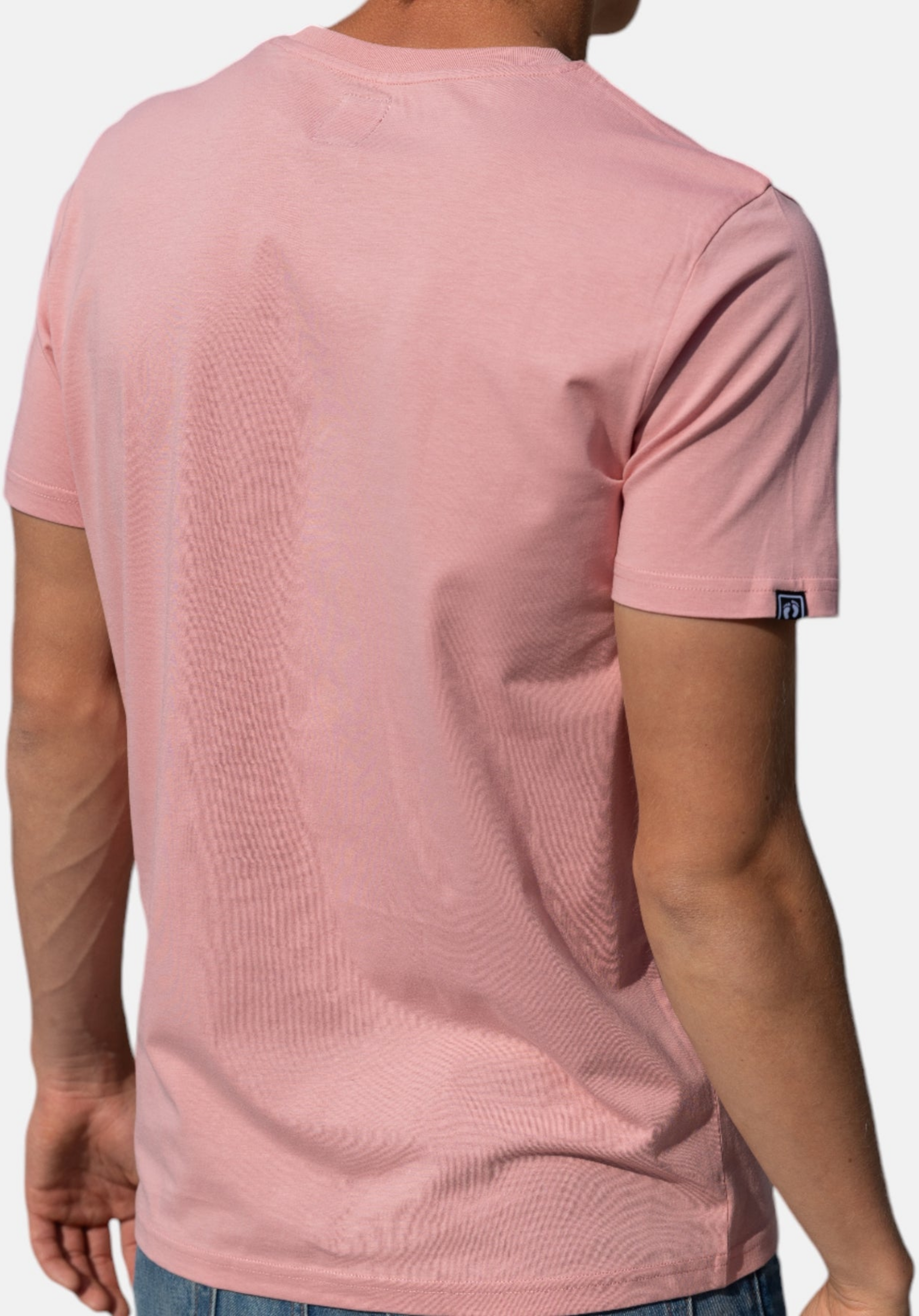 HANG TEN, Icon Logo T-shirt In 100% Organic Cotton