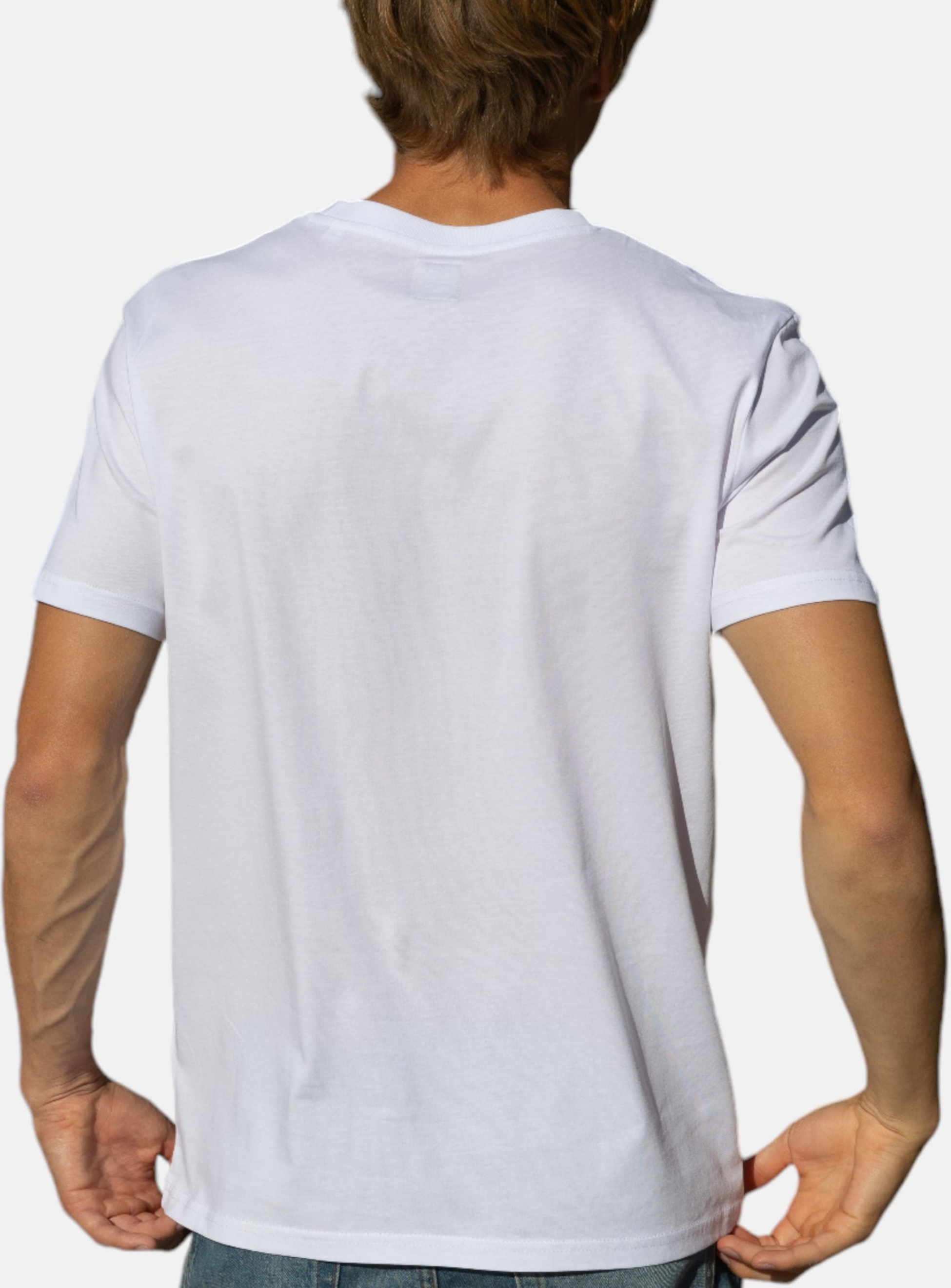 HANG TEN, Icon Logo T-shirt In 100% Organic Cotton