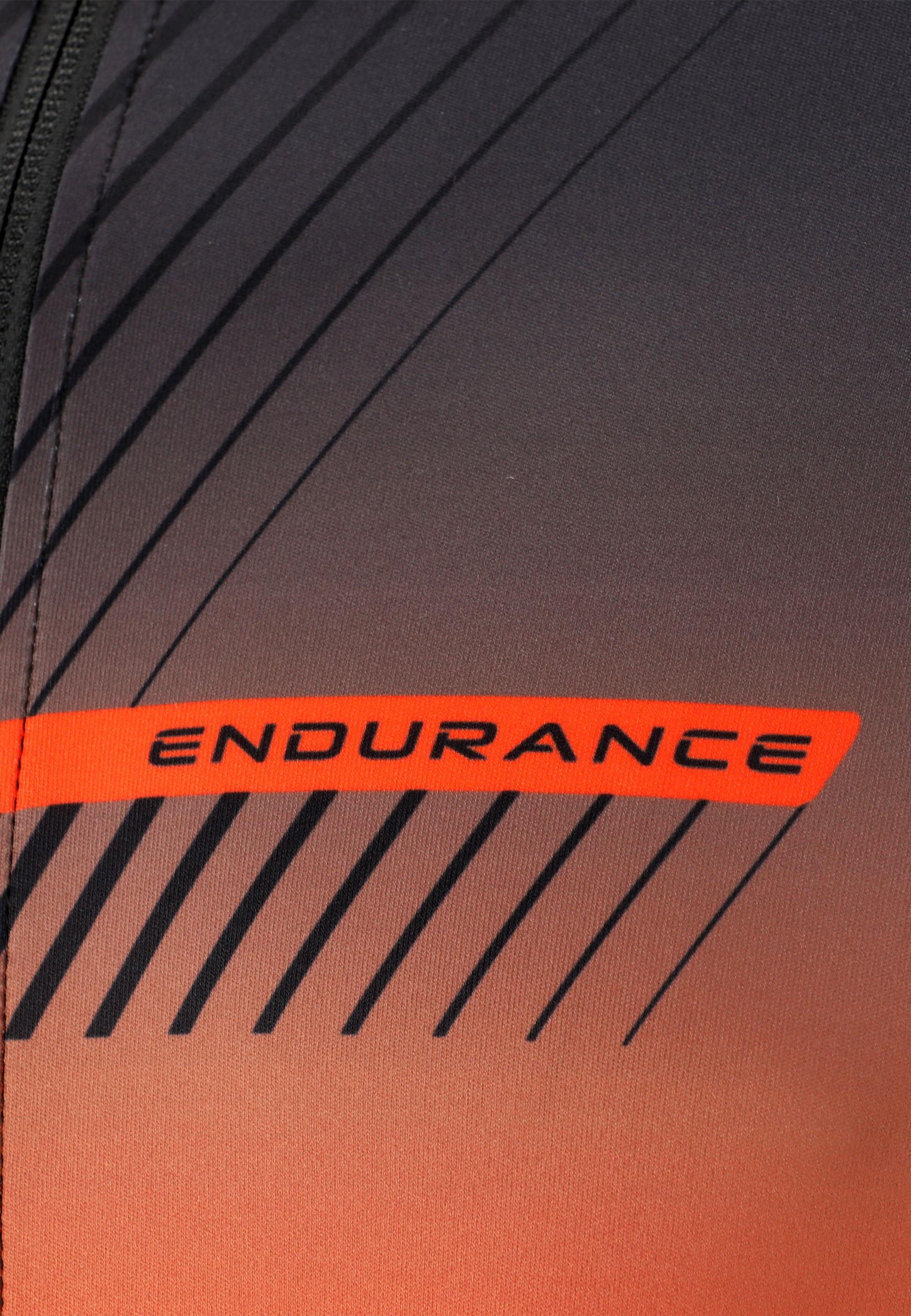 ENDURANCE, Jillard