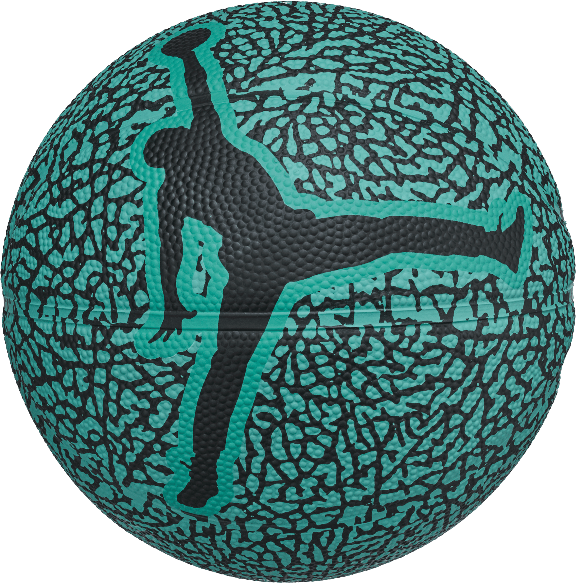 JORDAN, Jordan Skills 2.0 Graphic