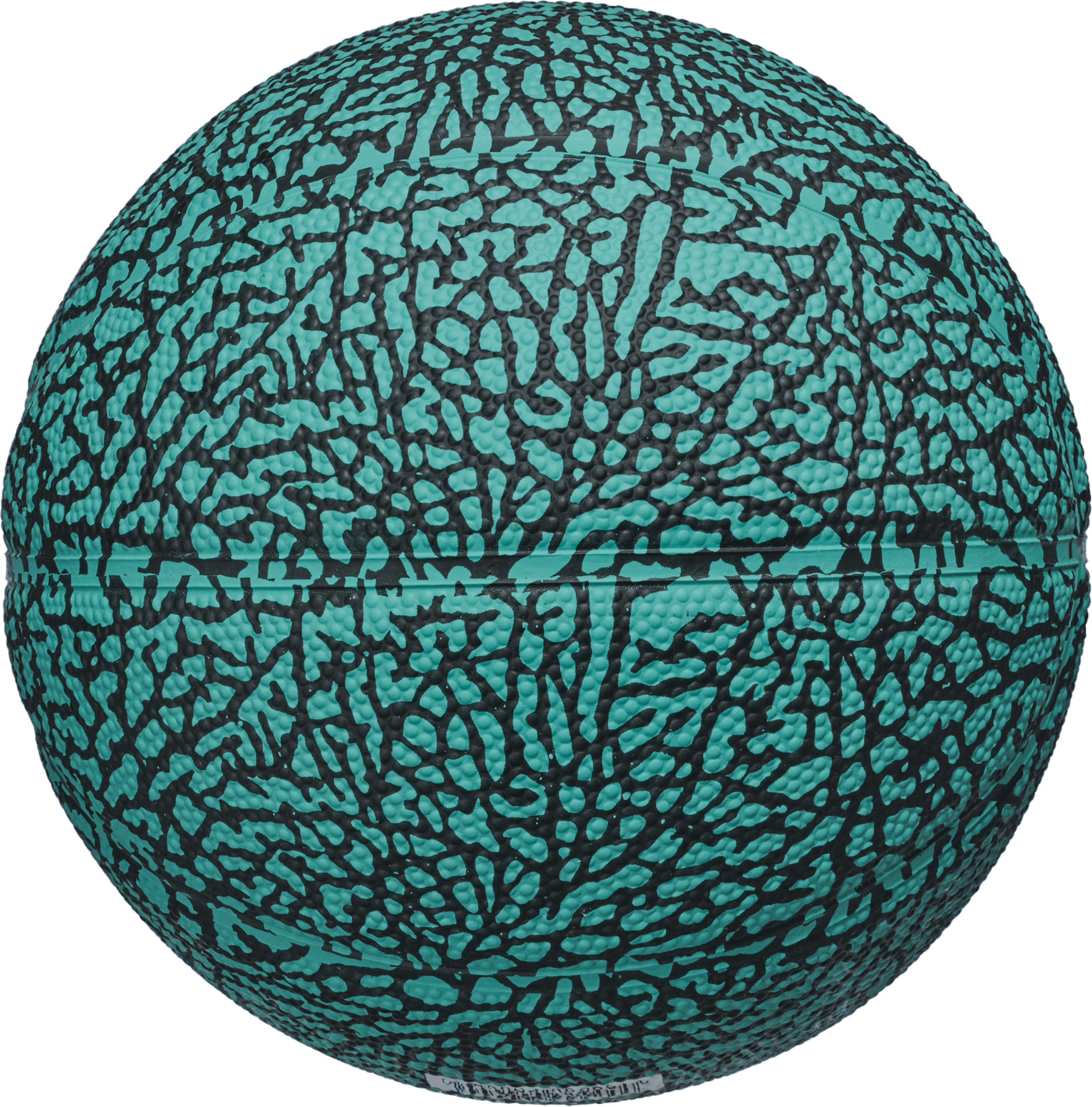 JORDAN, Jordan Skills 2.0 Graphic