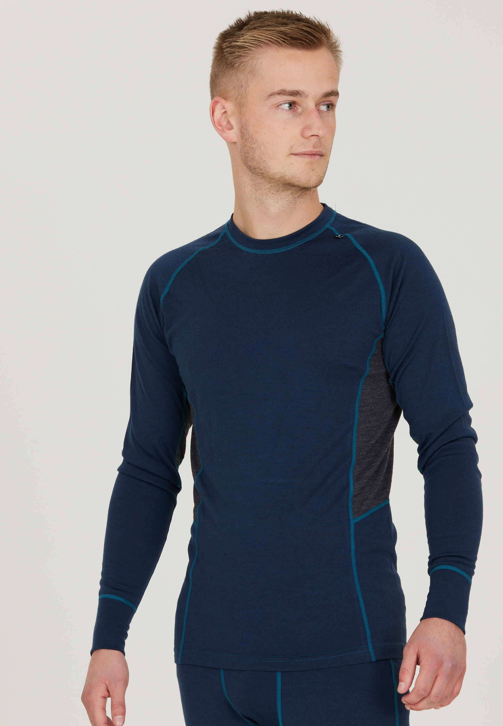 WHISTLER, Lapas Baselayer