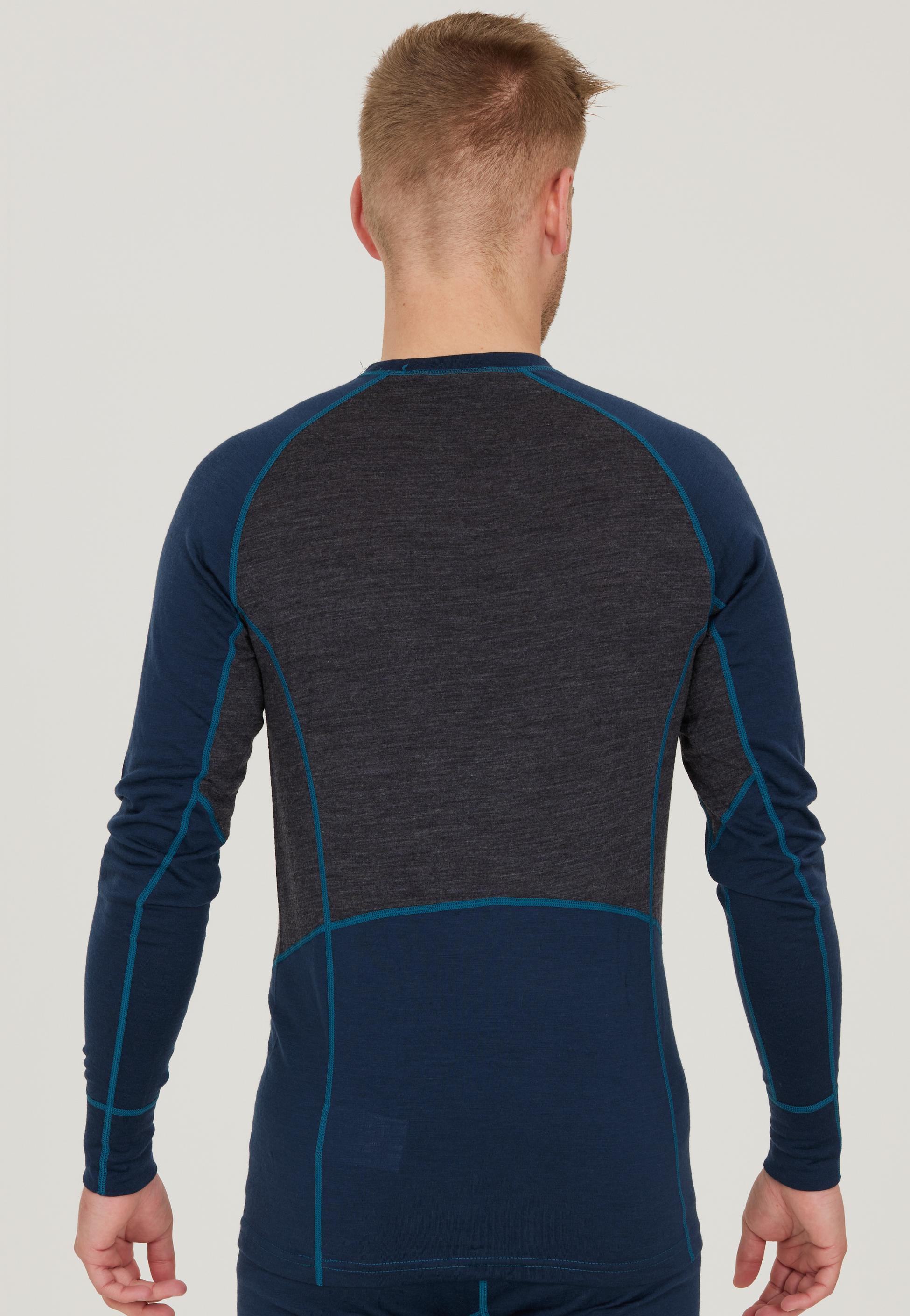 WHISTLER, Lapas Baselayer