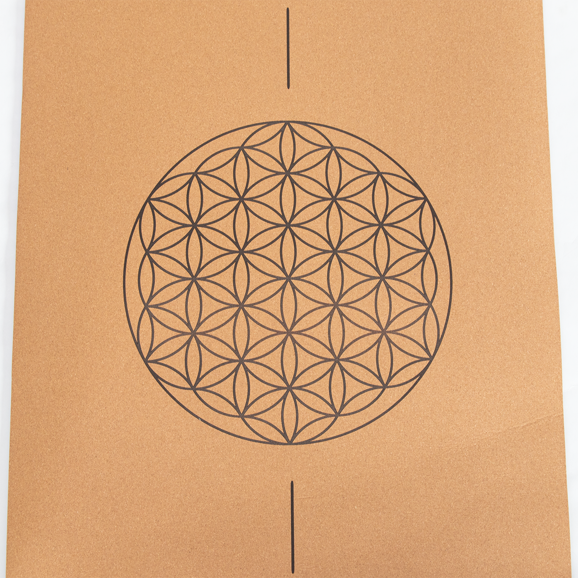 DIVASYA, Light and Comfort