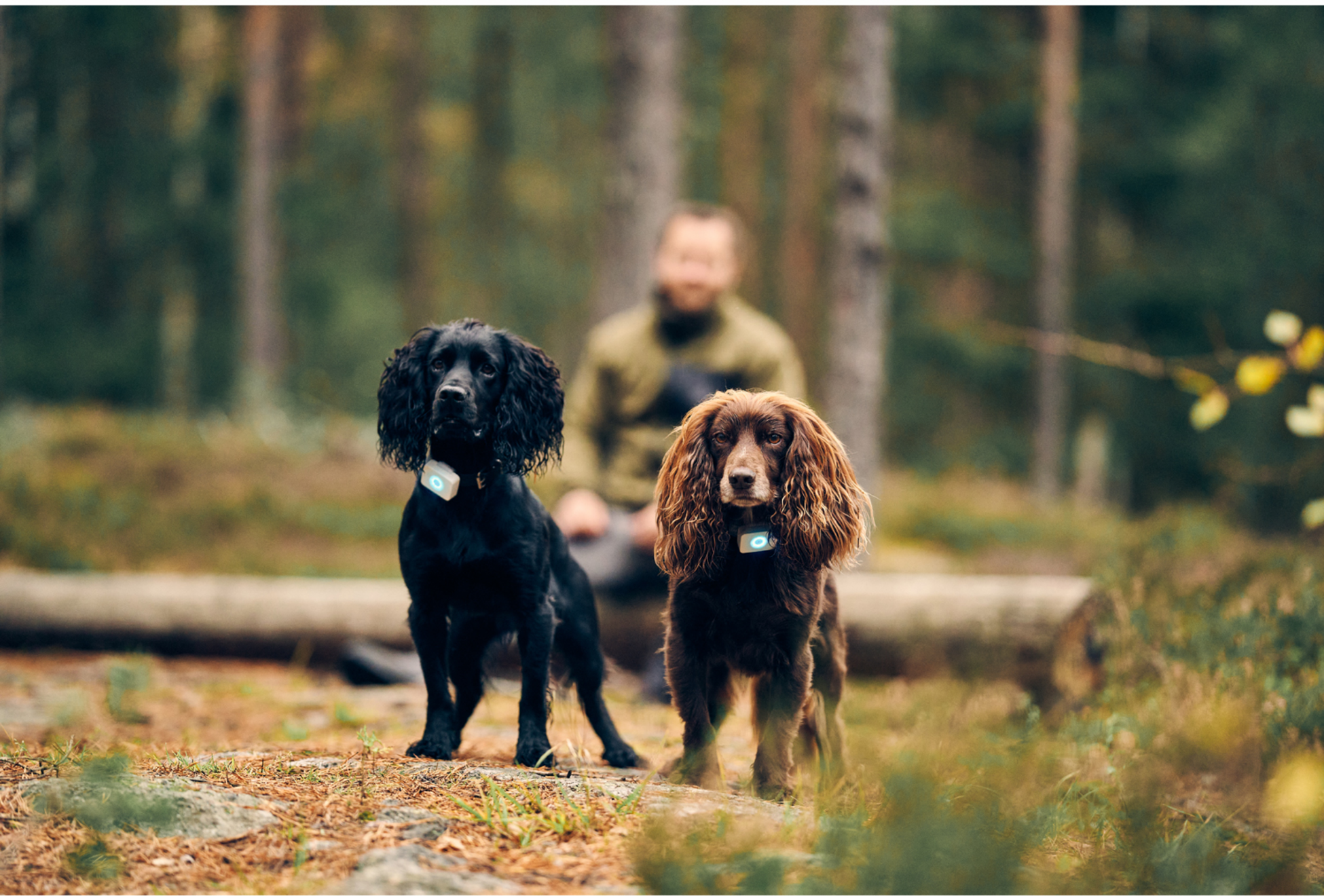 LILDOG, Lildog 2 Gps-tracker För Hundar