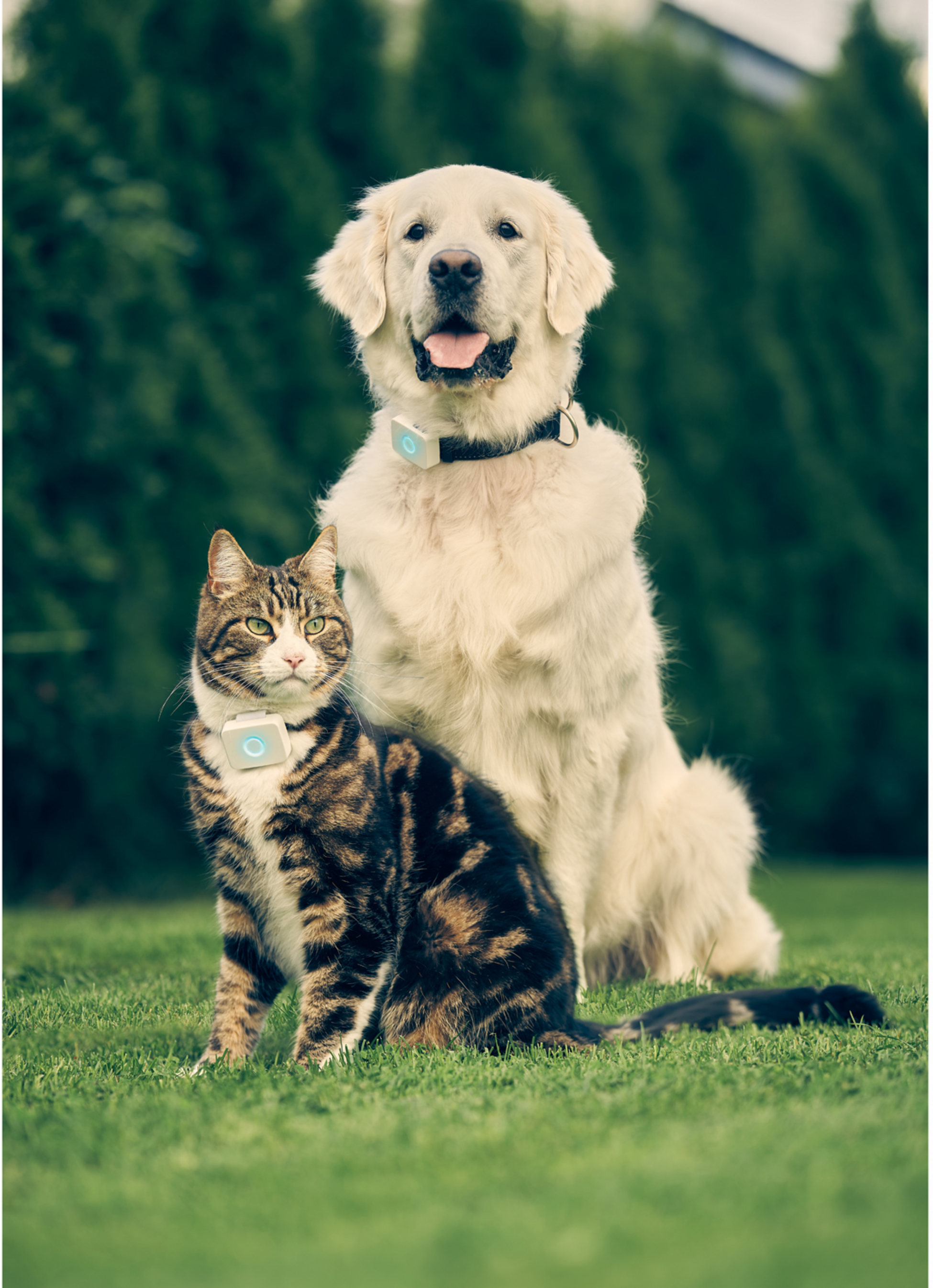 LILDOG, Lildog 2 Gps-tracker För Hundar