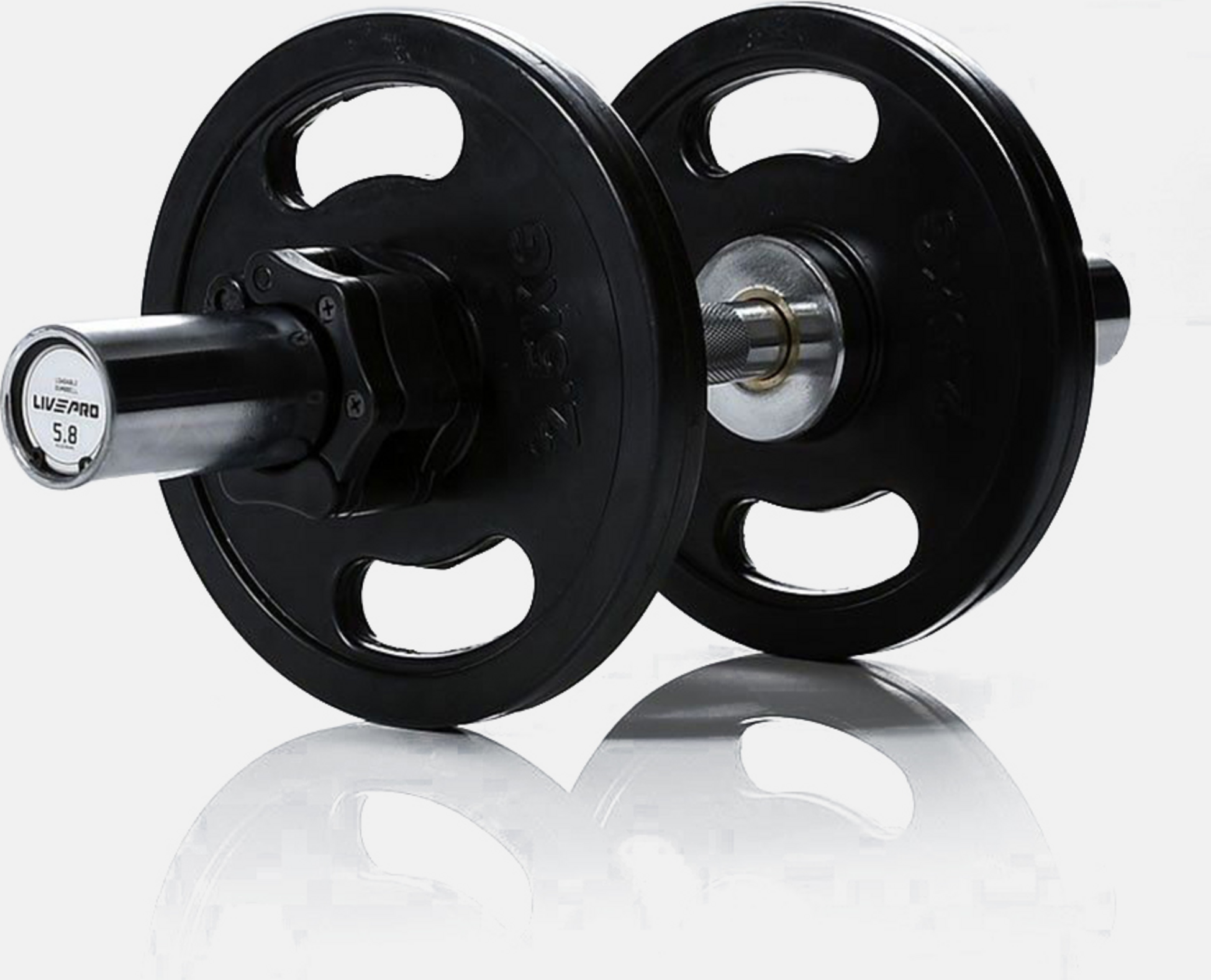 LIVEPRO, Loadable Dumbbell