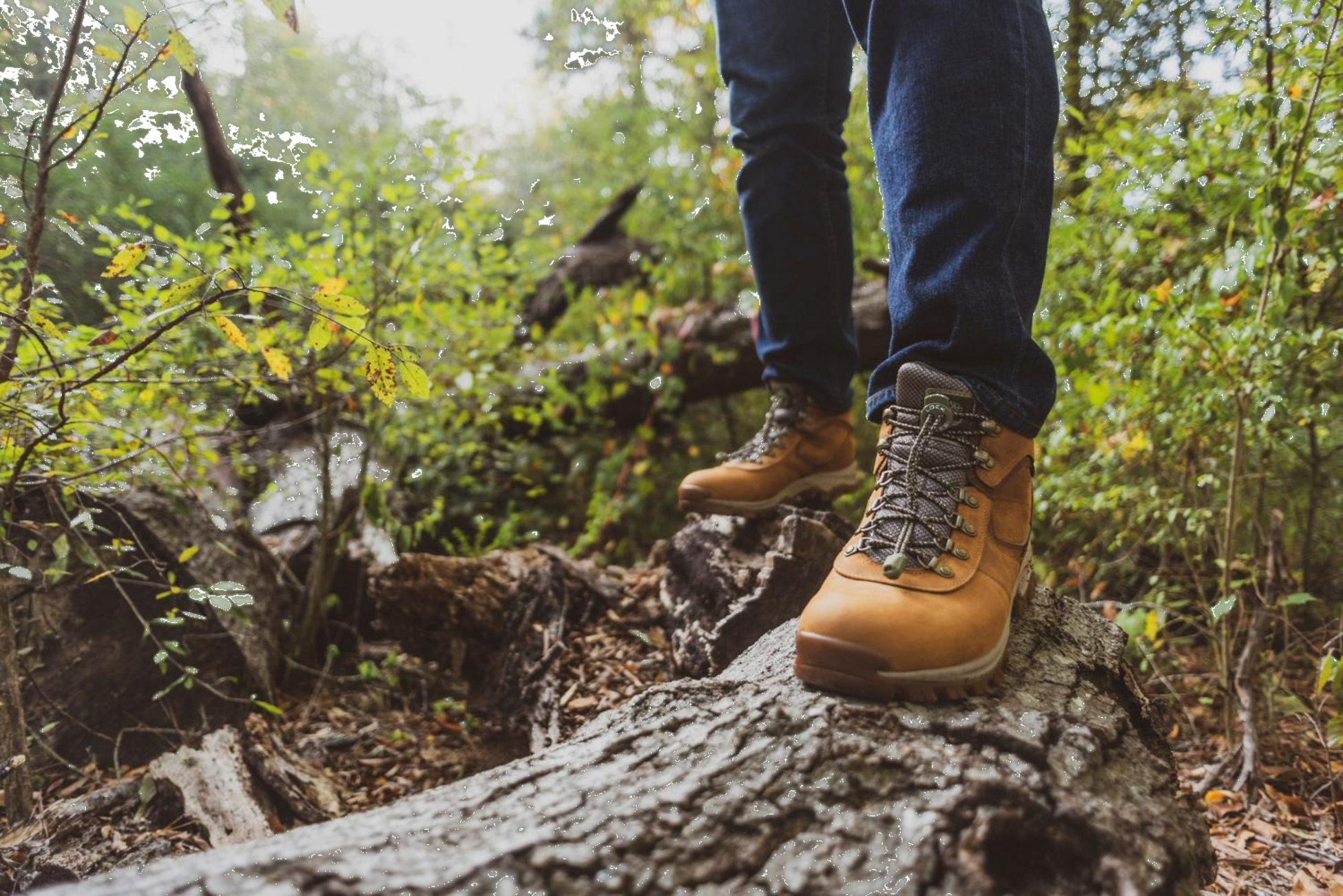 LOCK LACE, Lock Lace