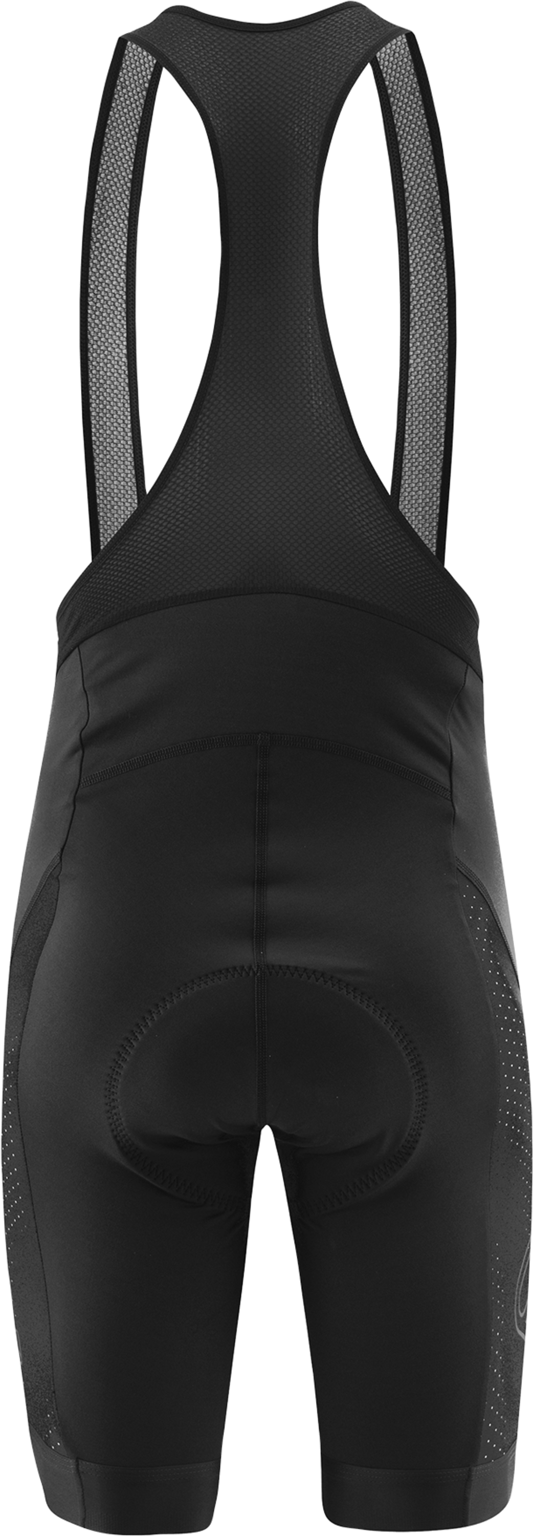 L&Ouml;FFLER, M Bike Bibshorts Winner 4